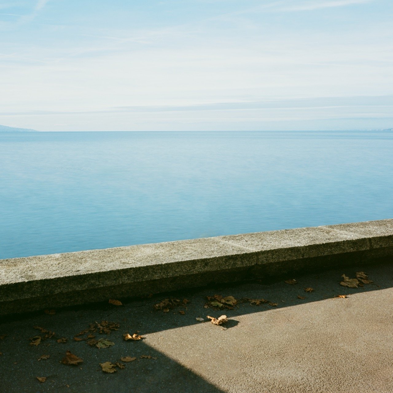 Renzo Cicillini Shadow as Form3.jpeg