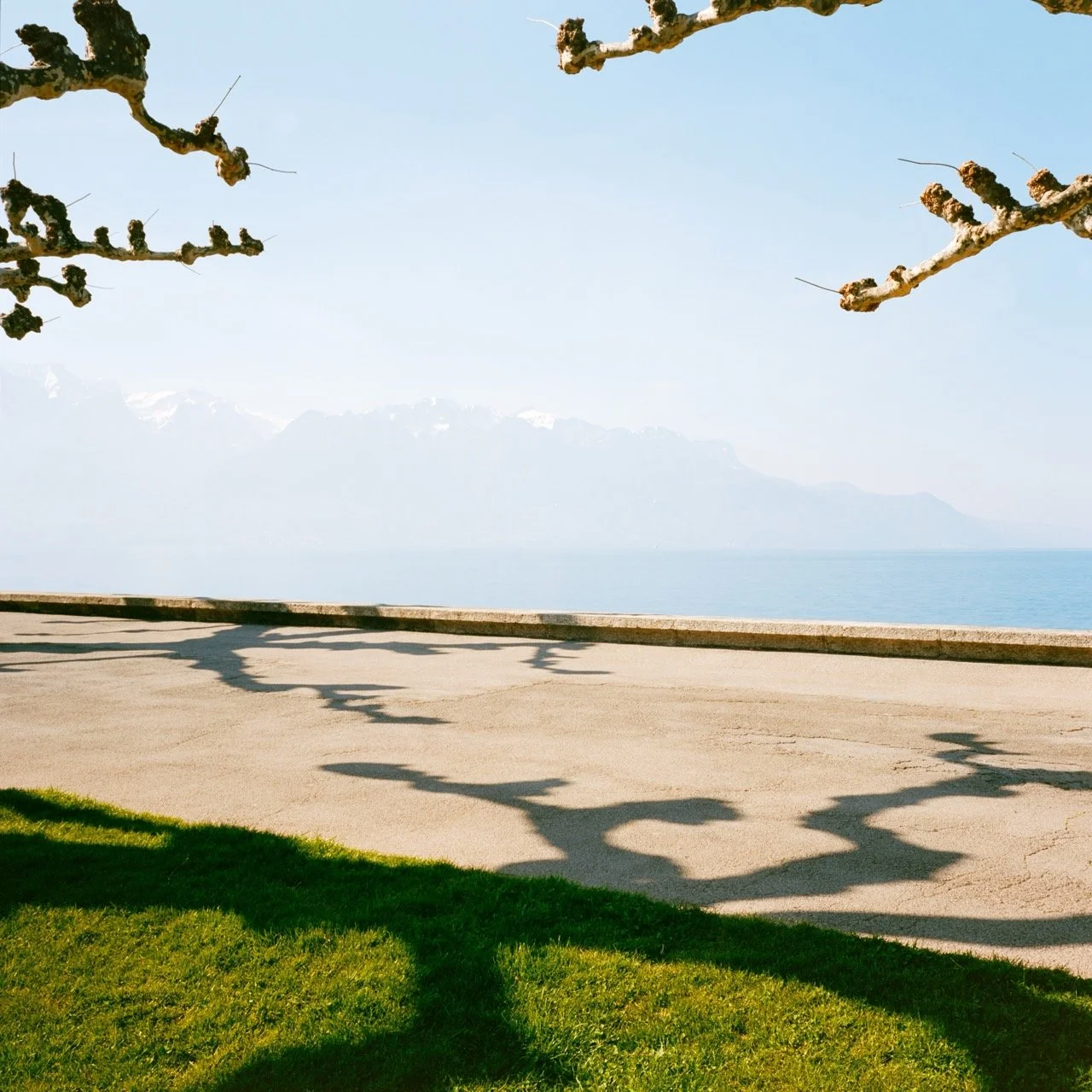 Renzo Cicillini Shadow as Form1.jpeg