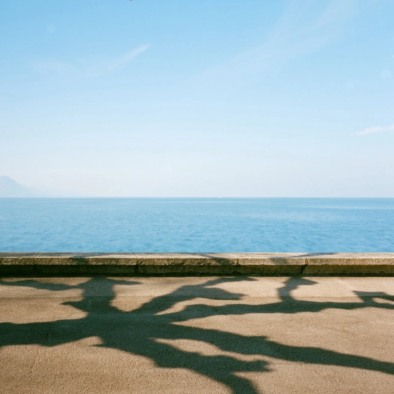 Renzo Cicillini Shadow as Form2.jpeg