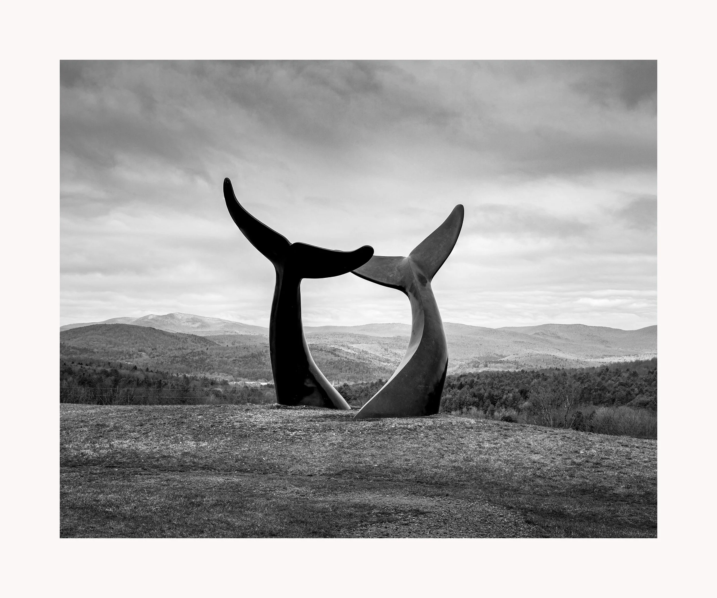 Whale's Tale 8x10 Matted to 11x14