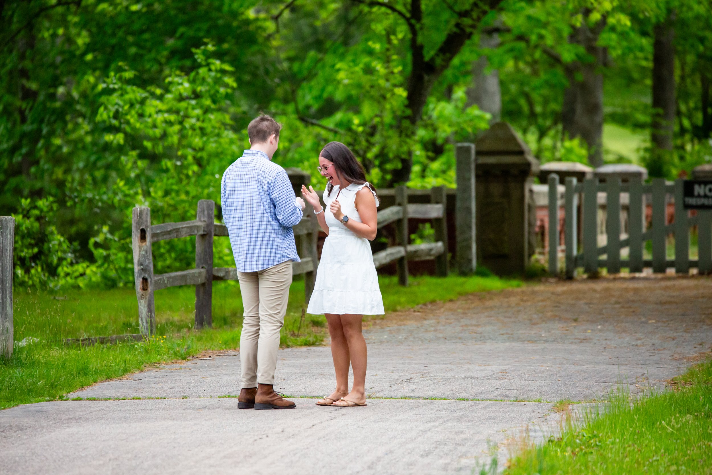 Surprise Proposal
