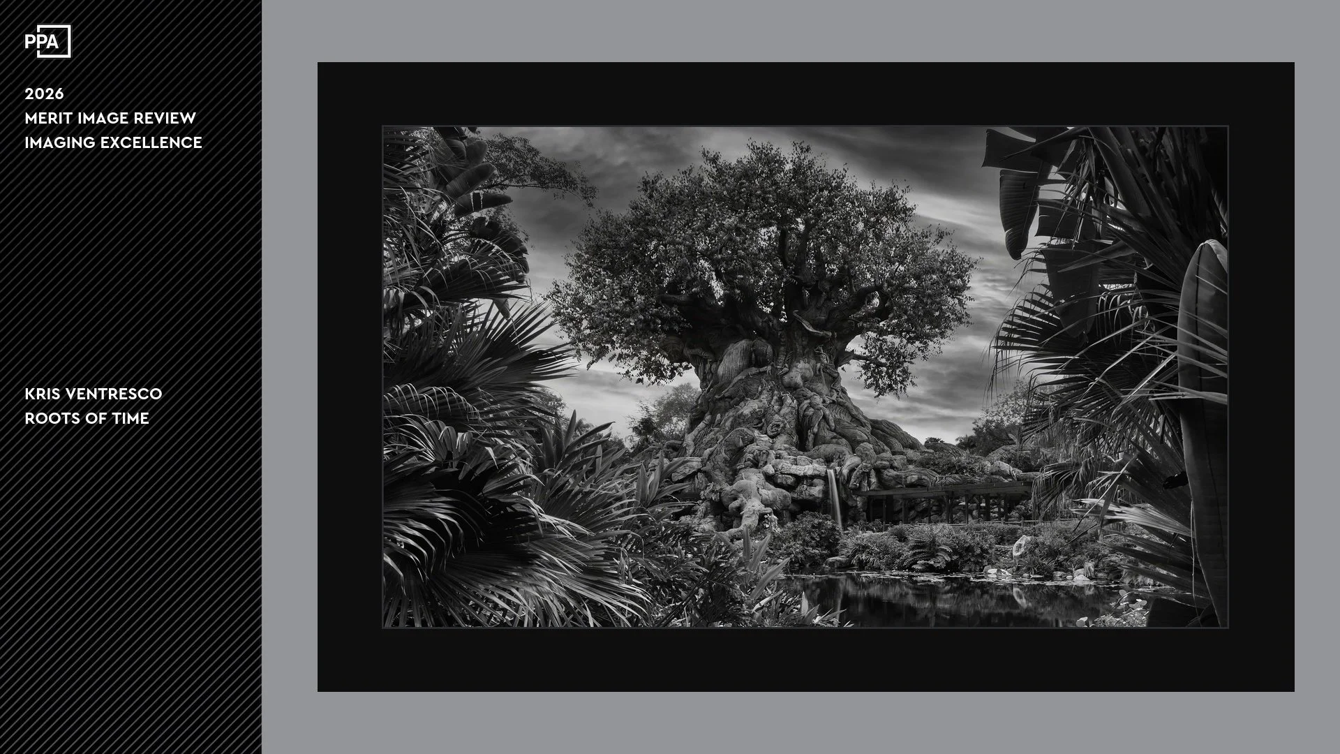 Roots of Time Imaging Excellence