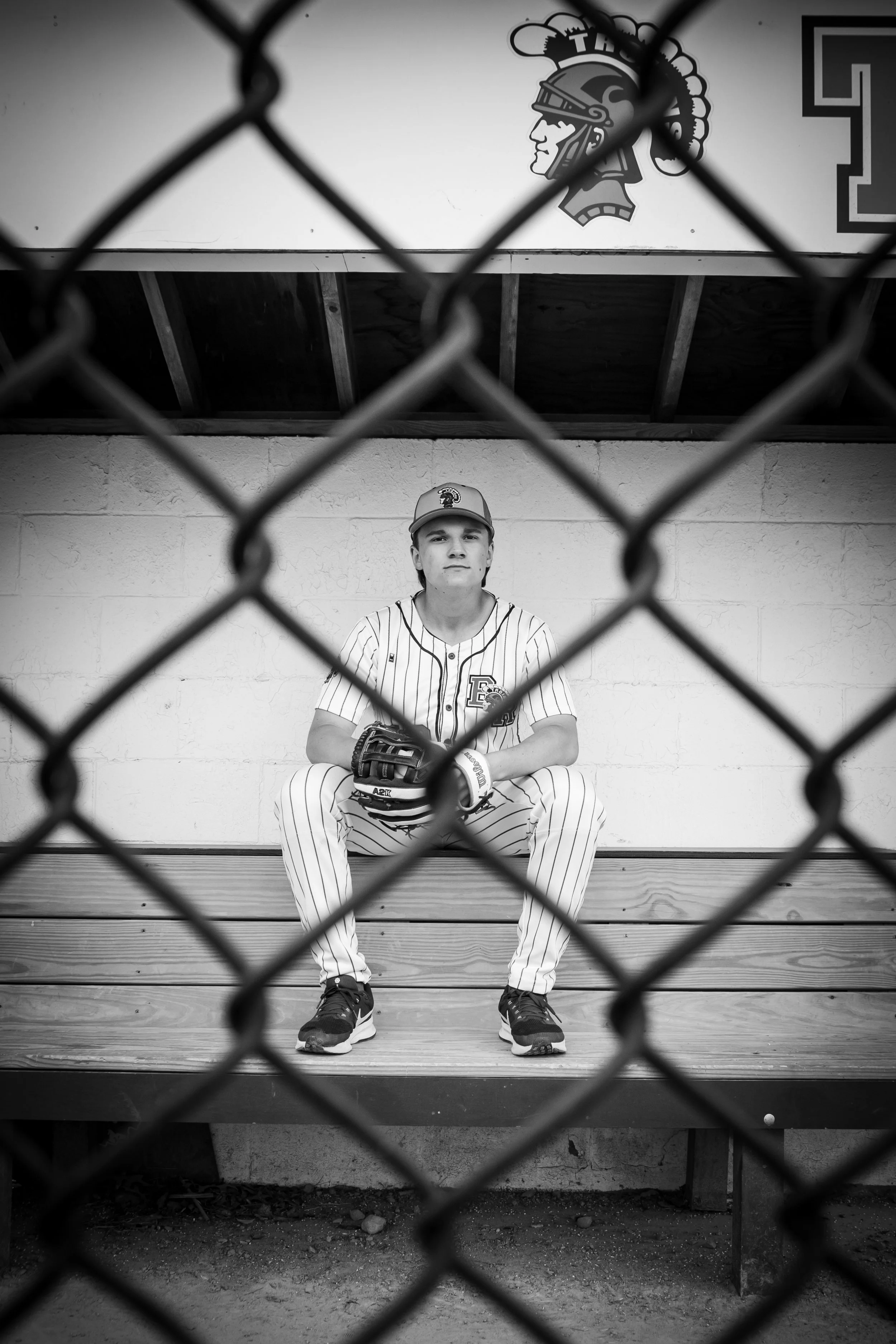 Game On Baseball Portraits