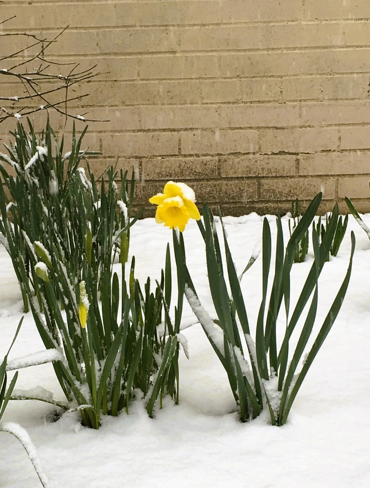 New York City, NY, USA