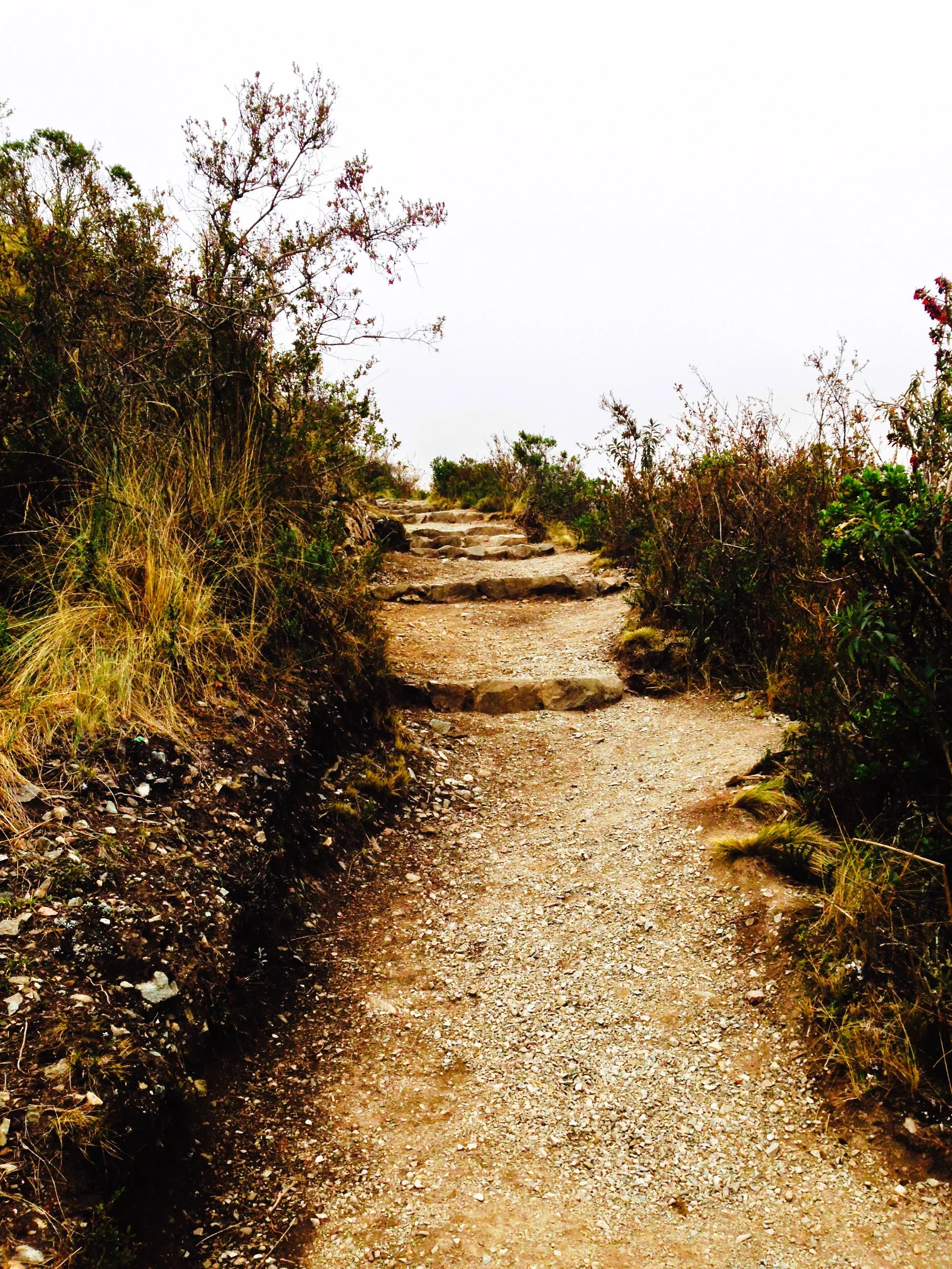 Inca Trail