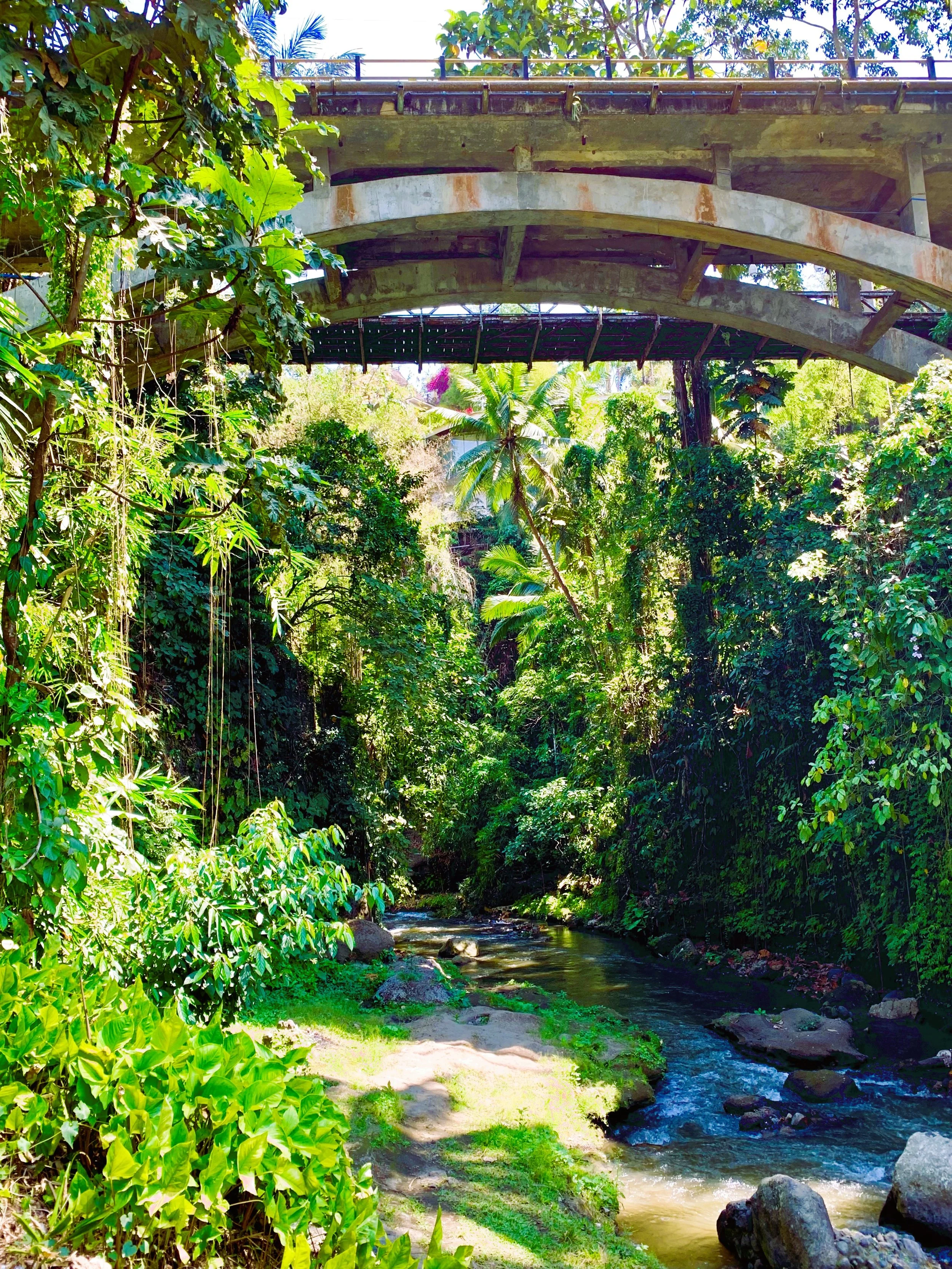 Ubud, Bali, Indonesia