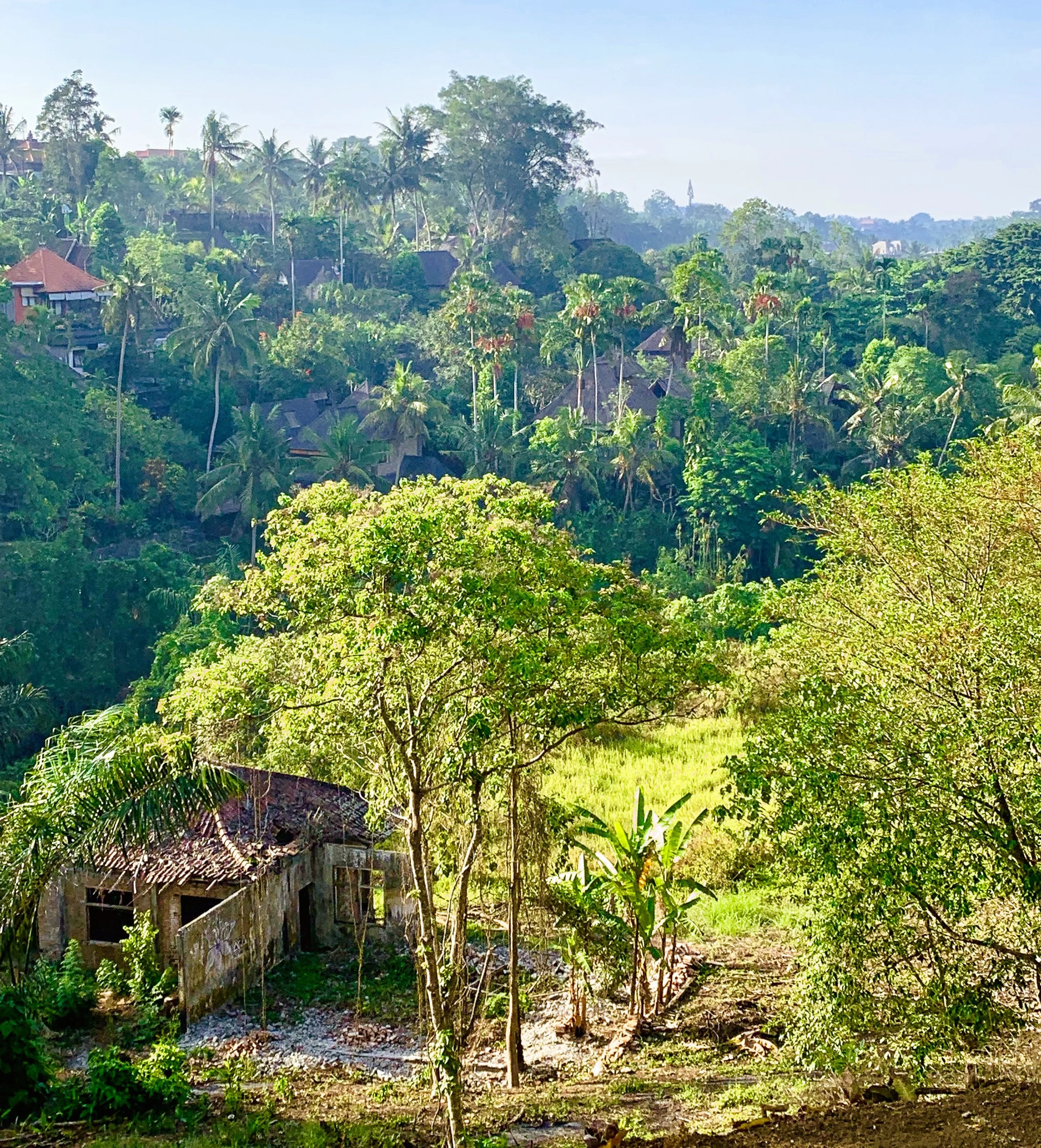 Ubud, Bali, Indonesia