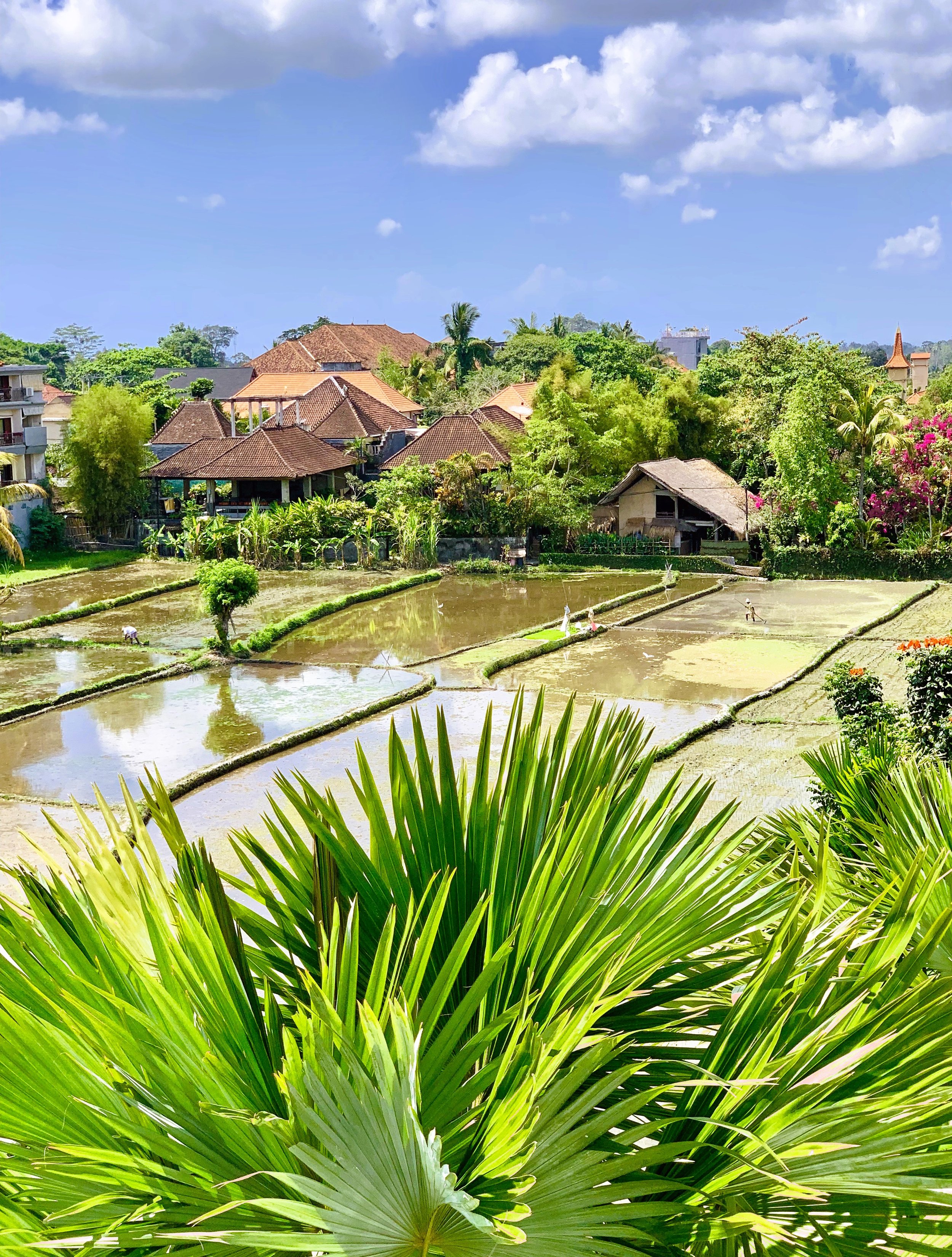 Ubud, Bali, Indonesia