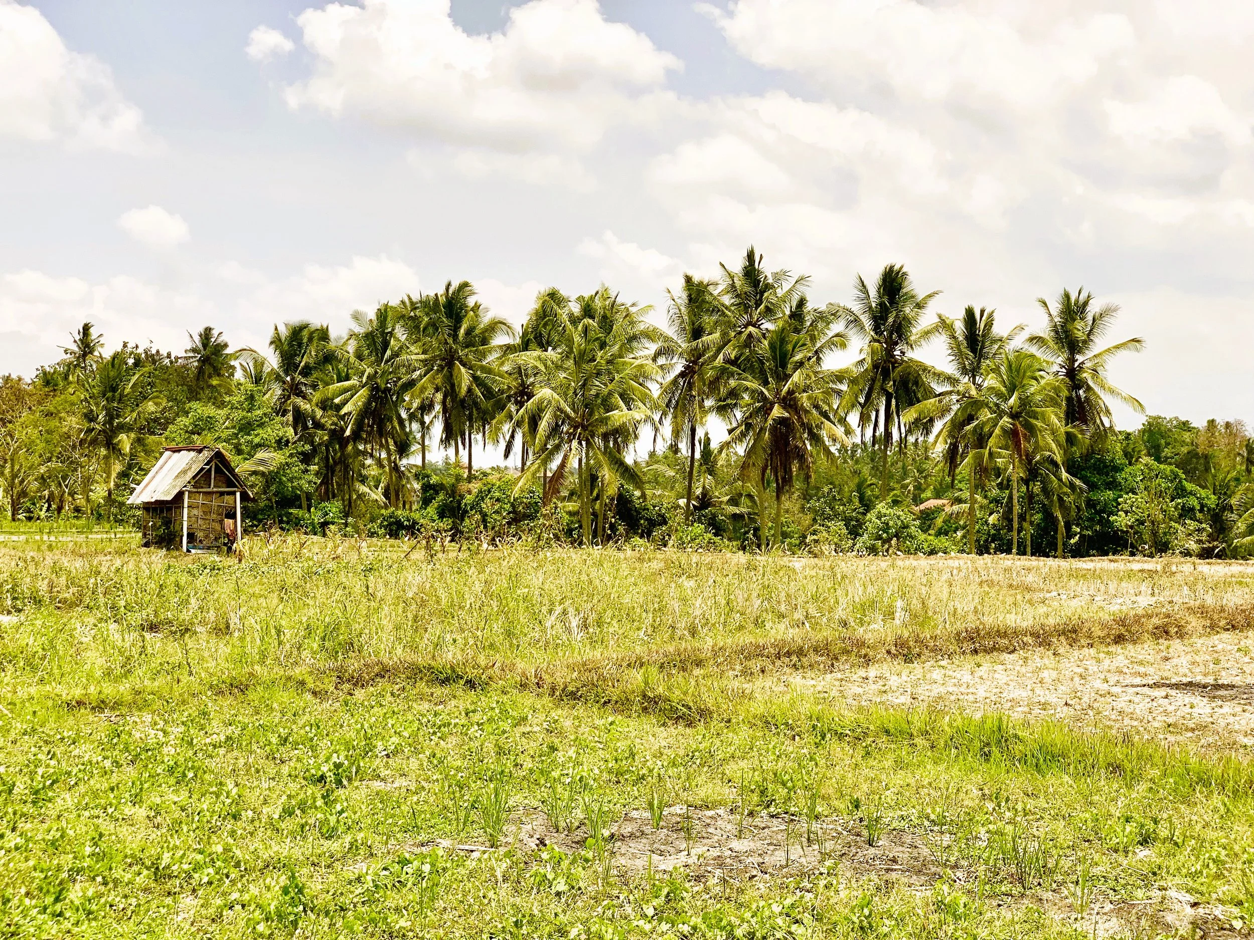 Ubud, Bali, Indonesia