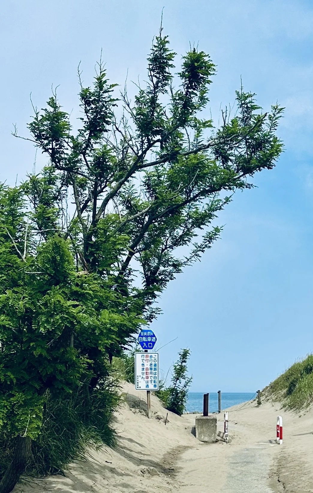 Kanazawa