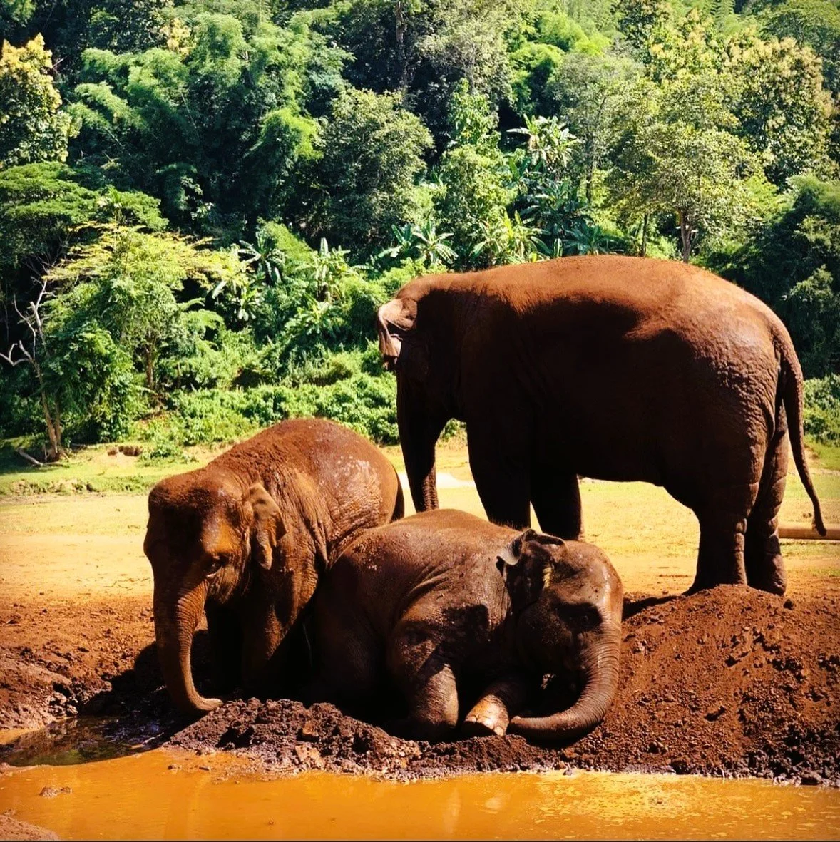 Chiang Mai, Thailand