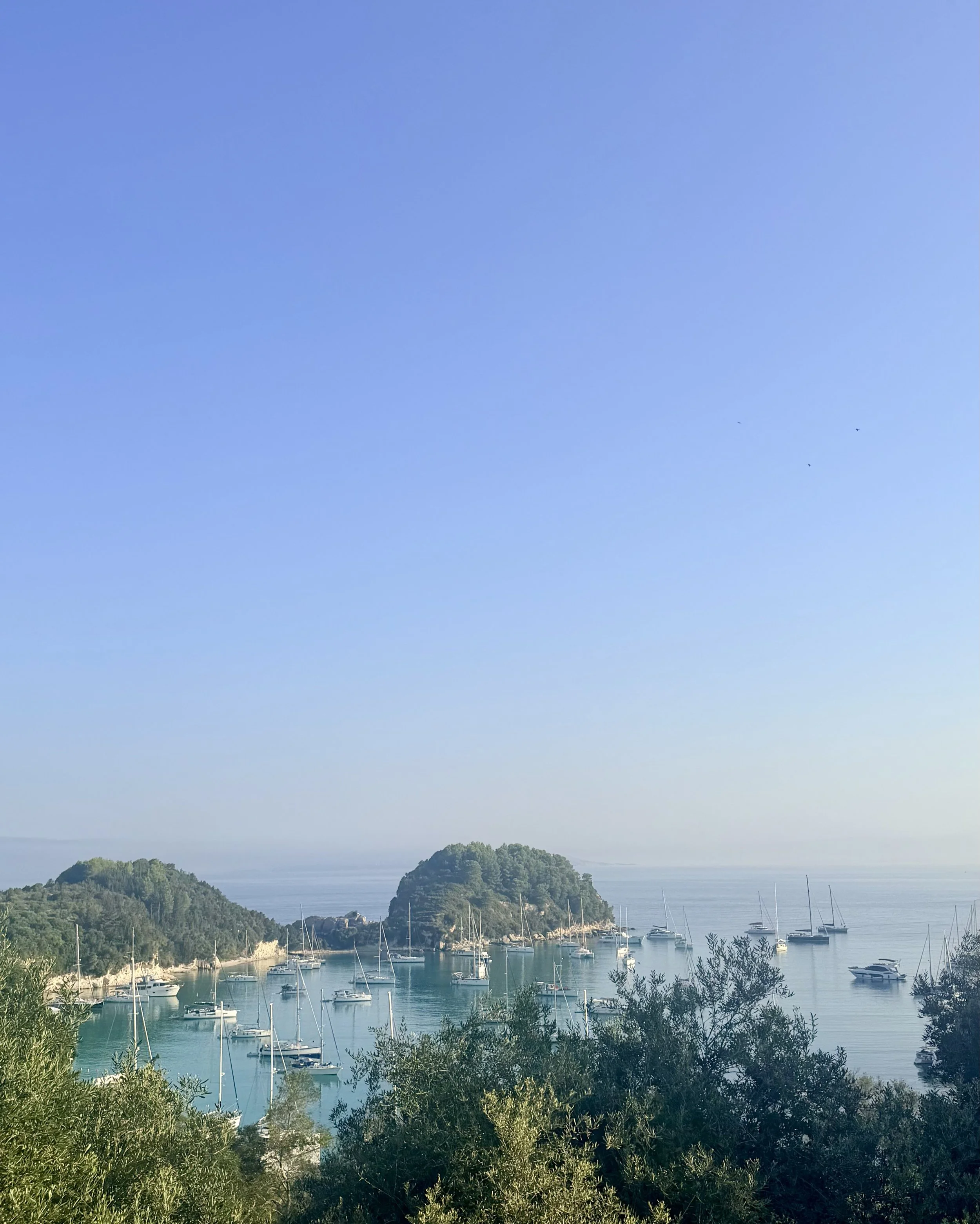 Paxos