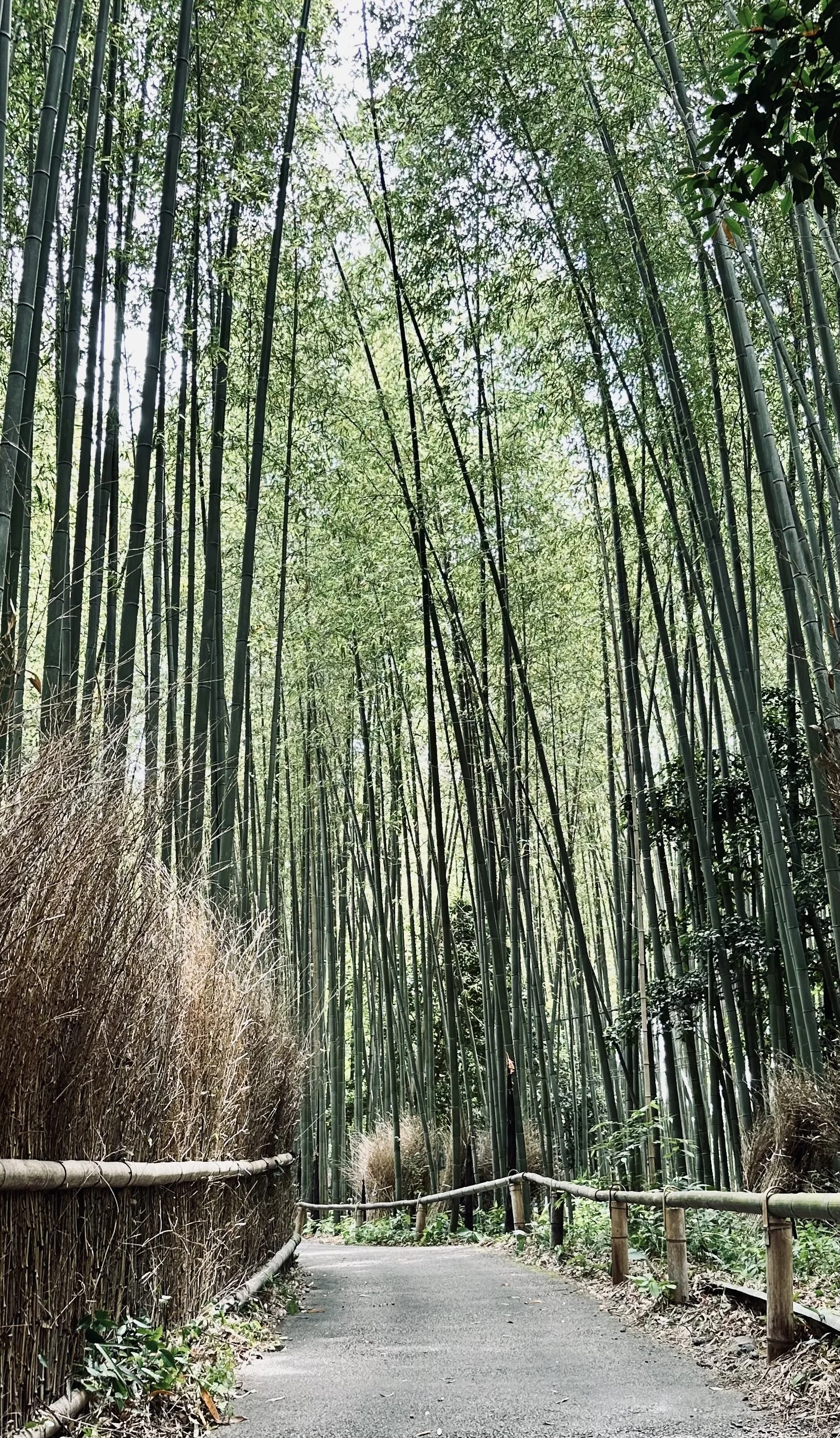 Kyoto