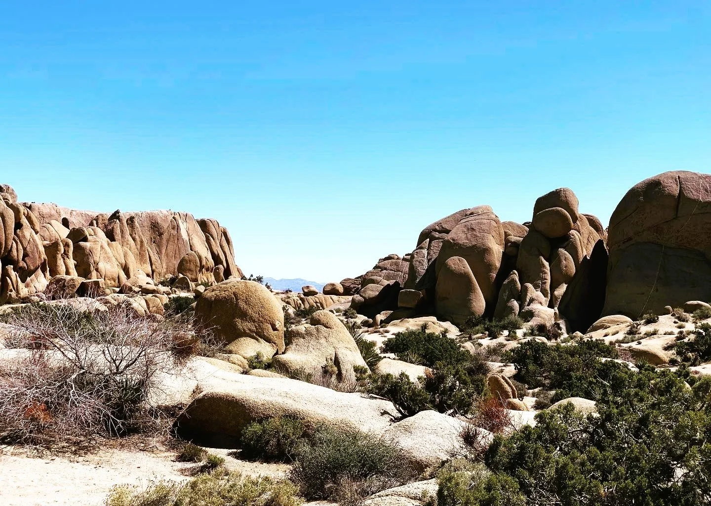 Joshua Tree, CA, USA