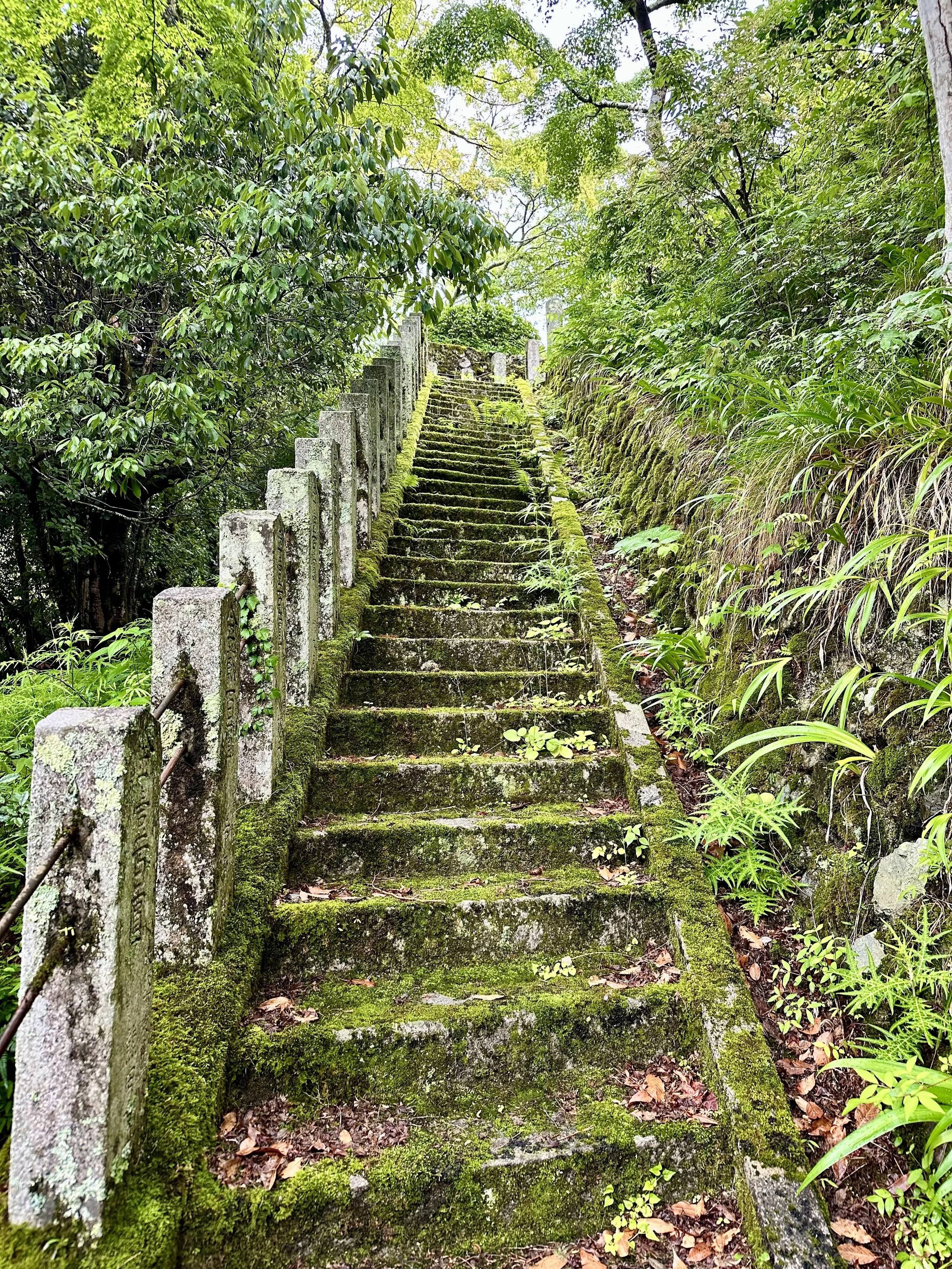 Kyoto