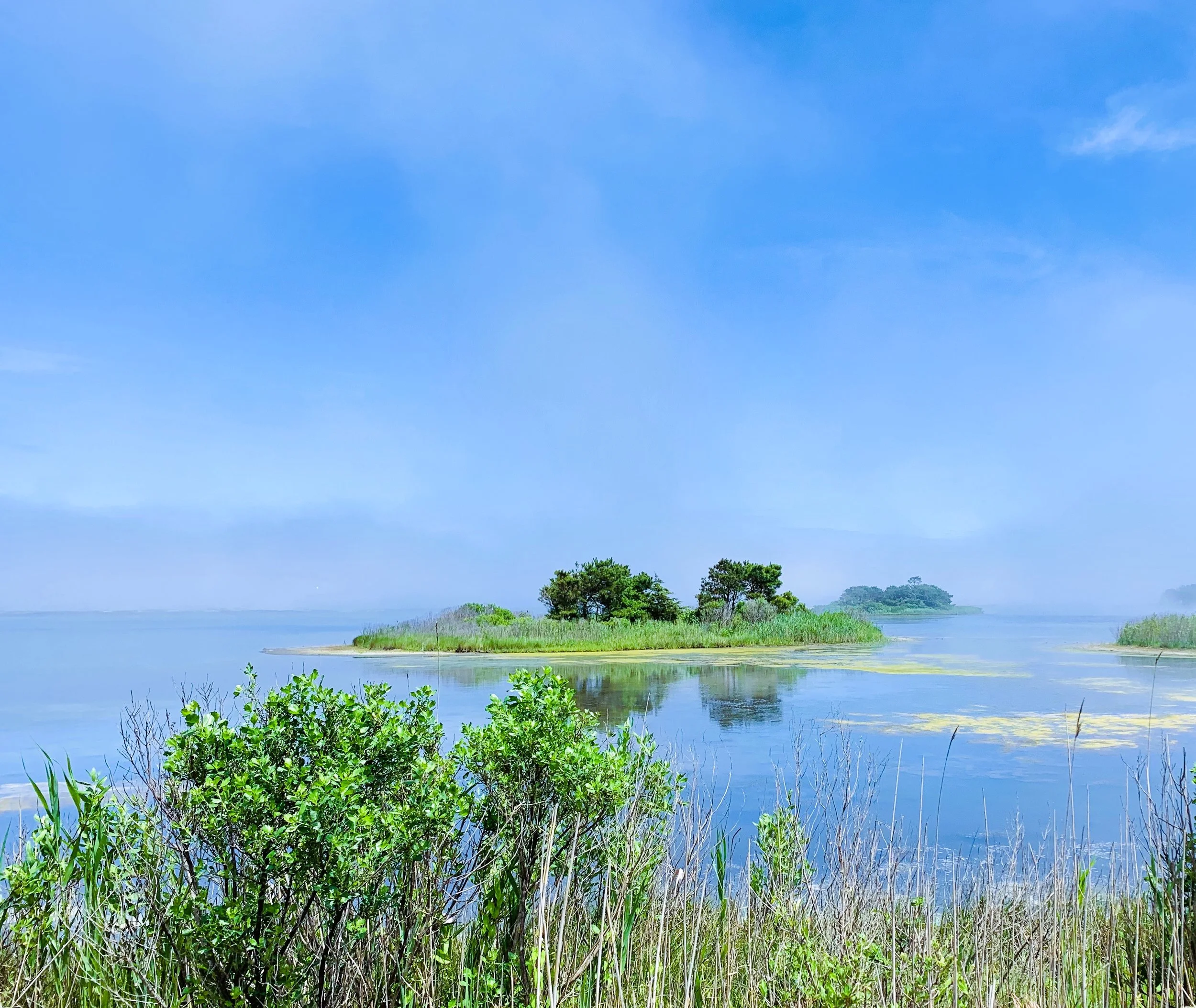 Rehoboth Beach, DE, USA