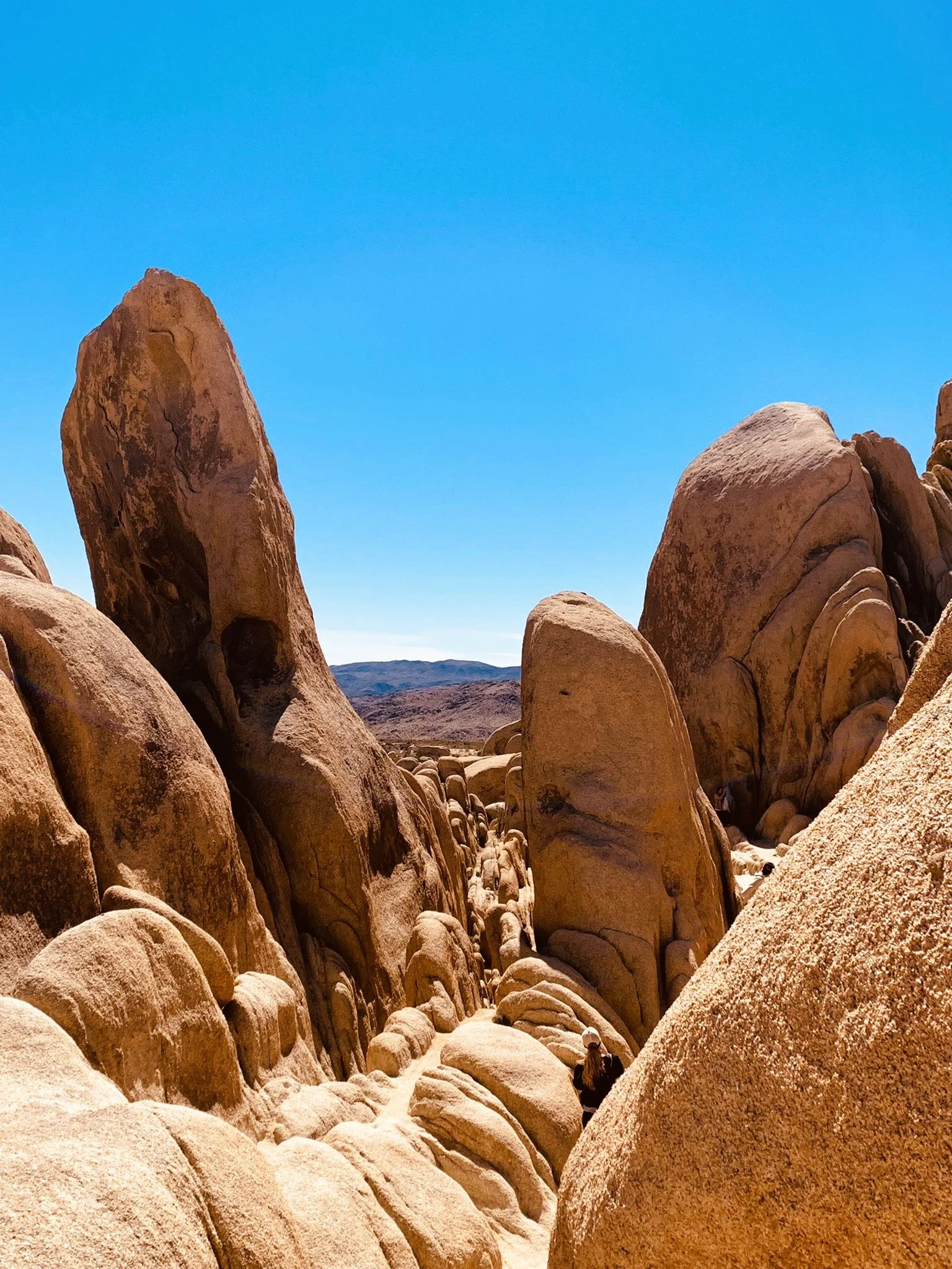Joshua Tree, CA, USA