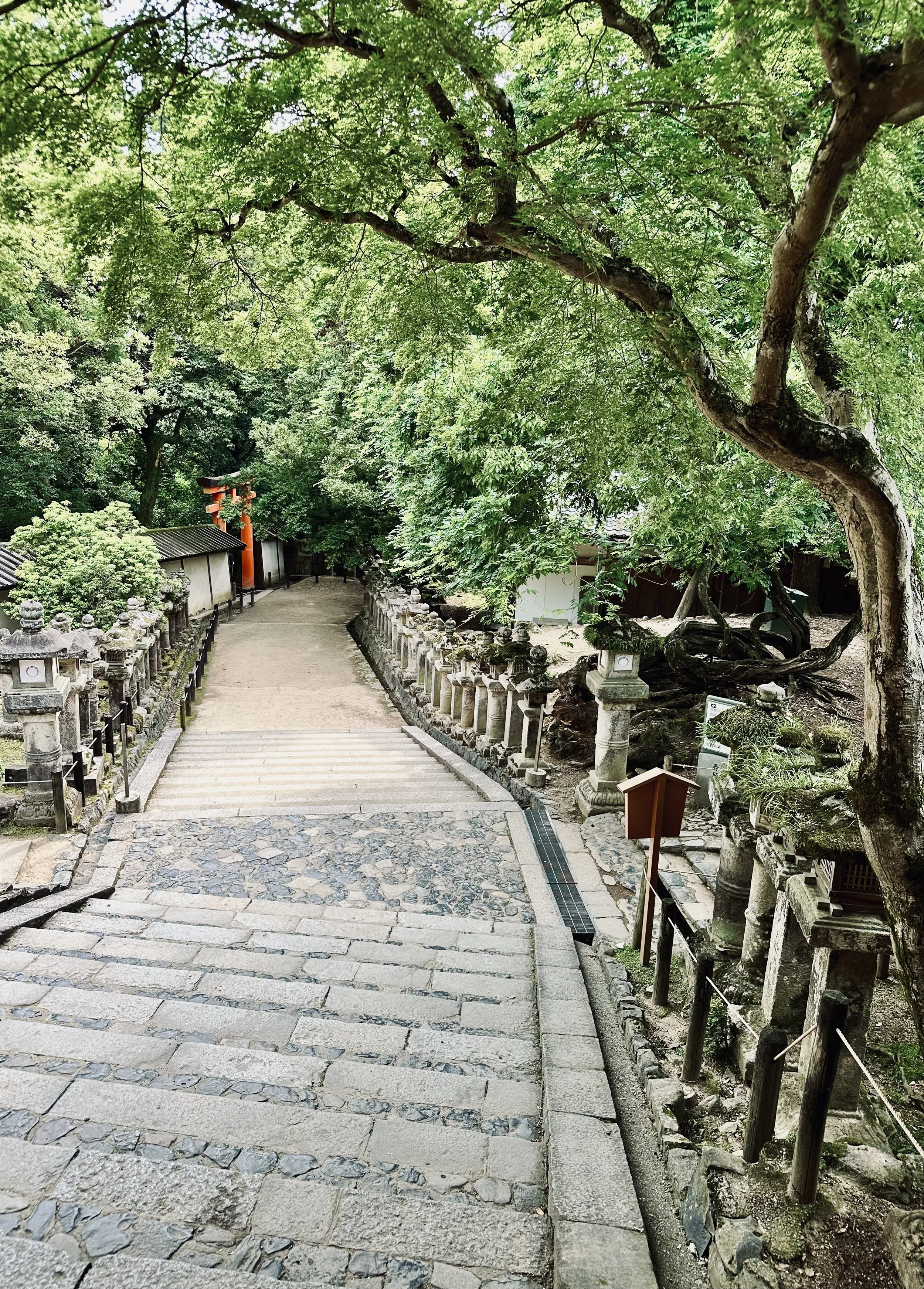 Kyoto
