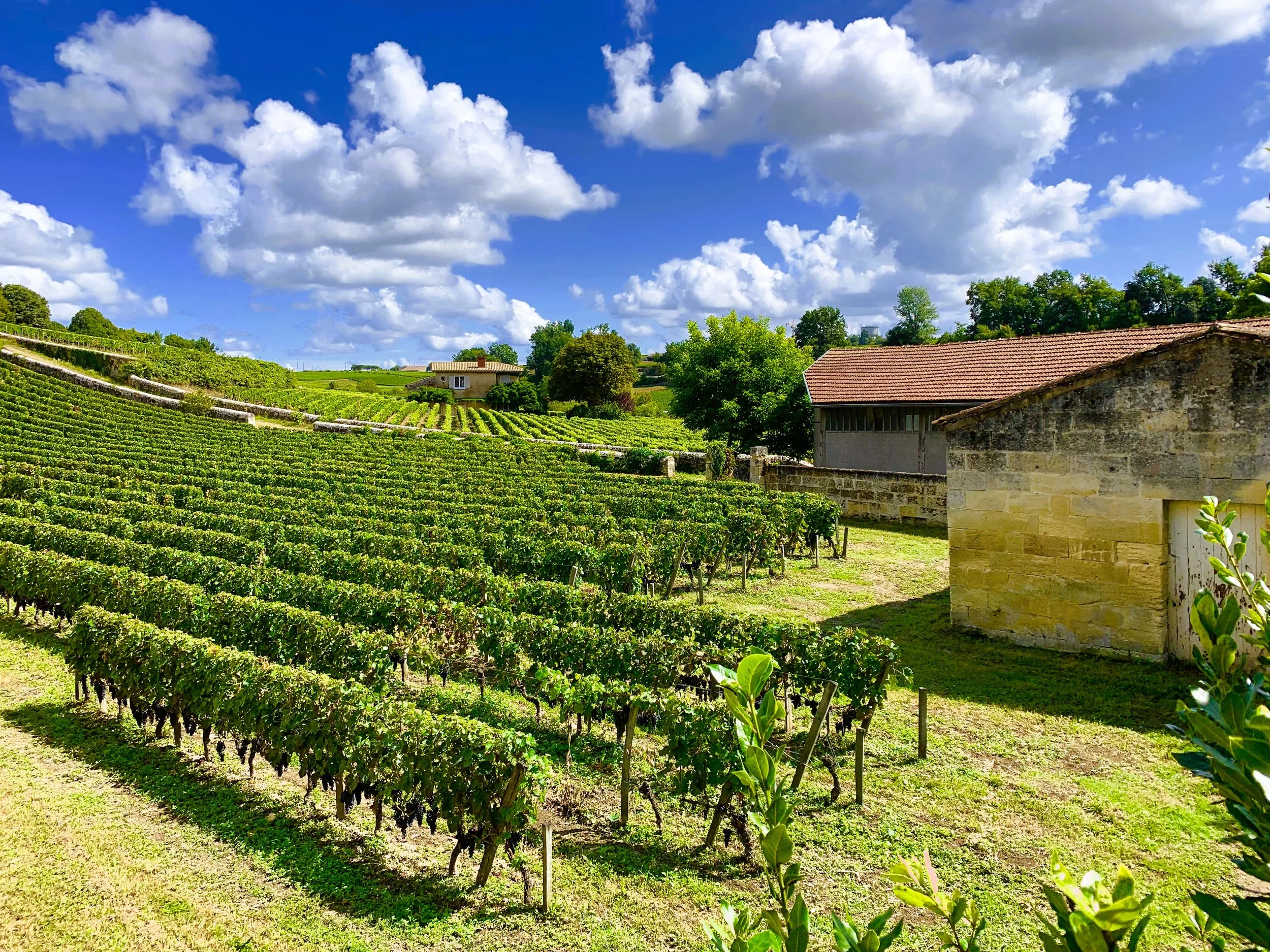 Saint-Emilion, France