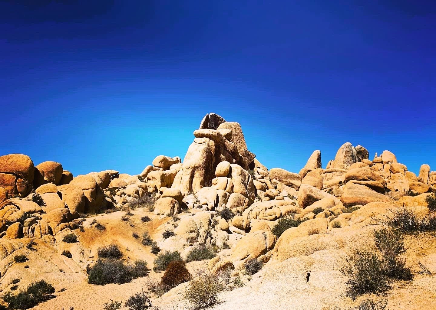 Joshua Tree, CA, USA