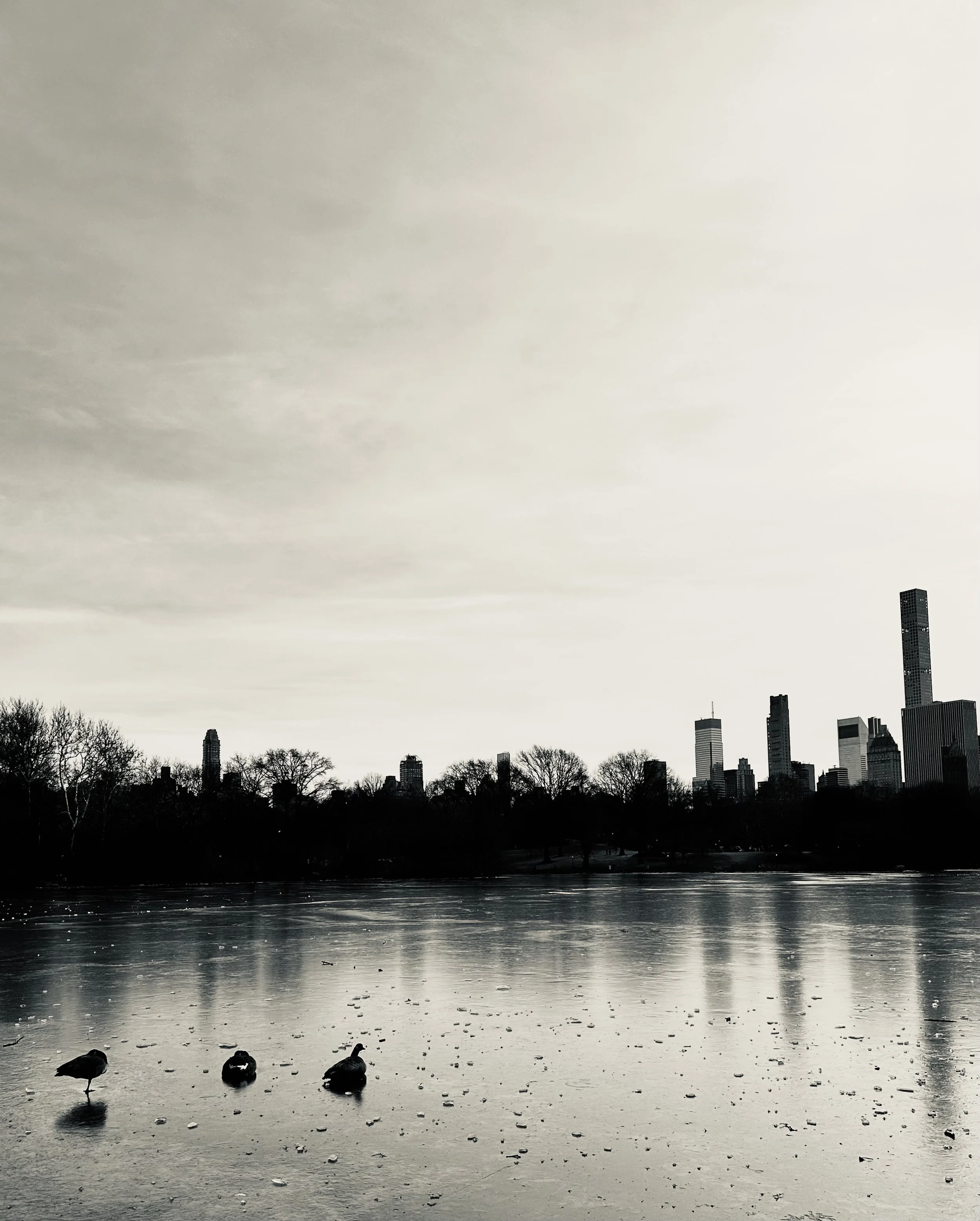 New York City, NY, USA