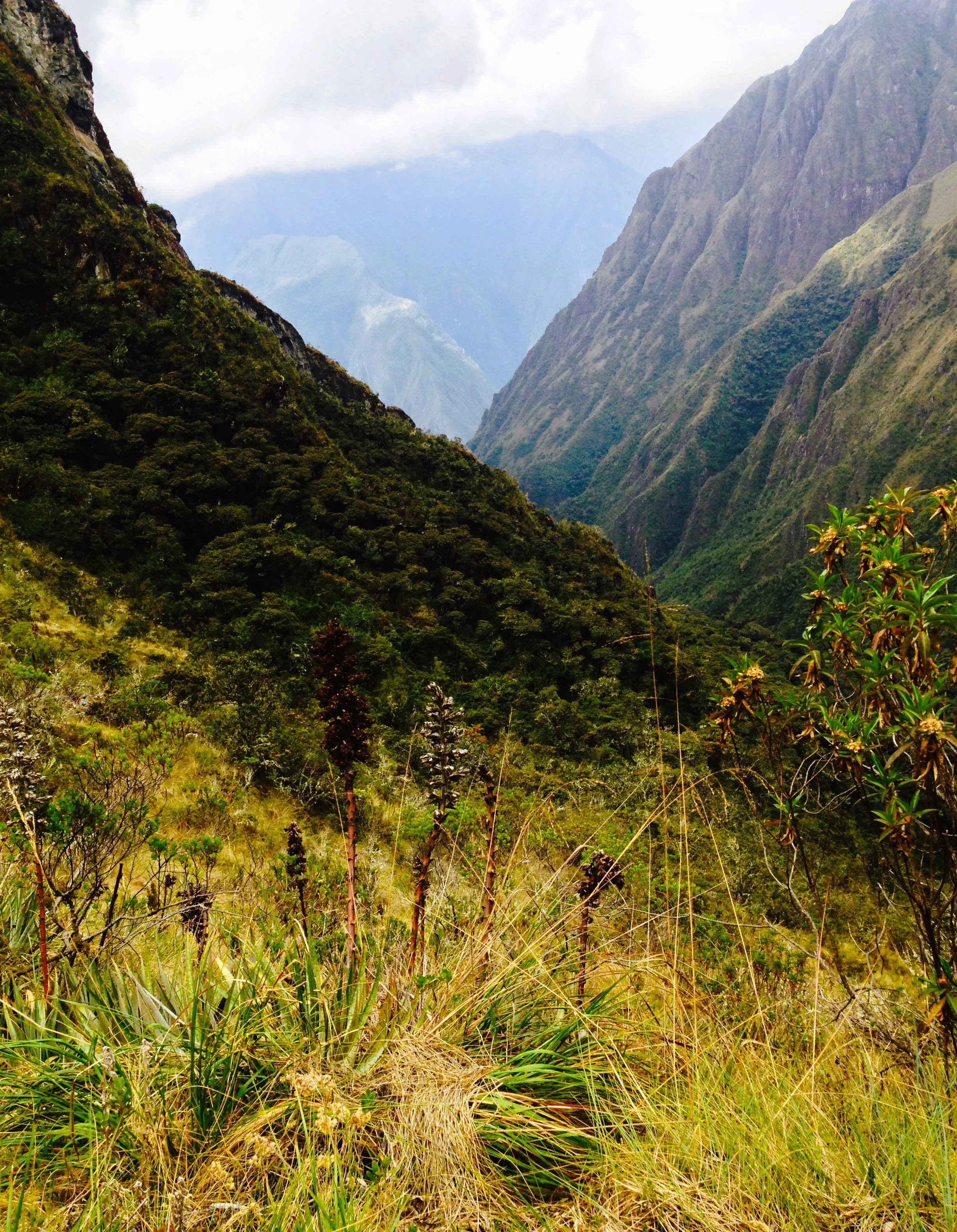 Inca Trail