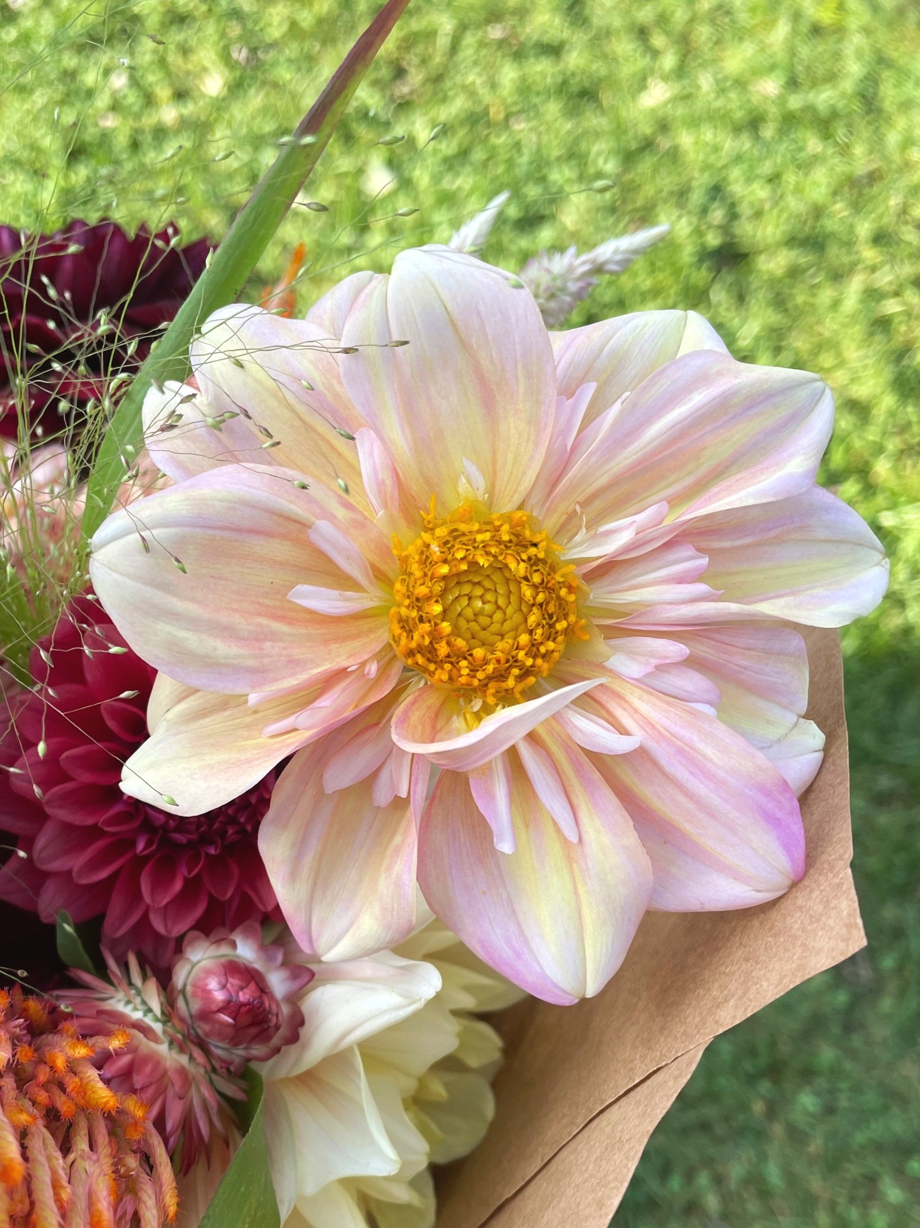 2024-09-24_08-33-26_127.jpg
