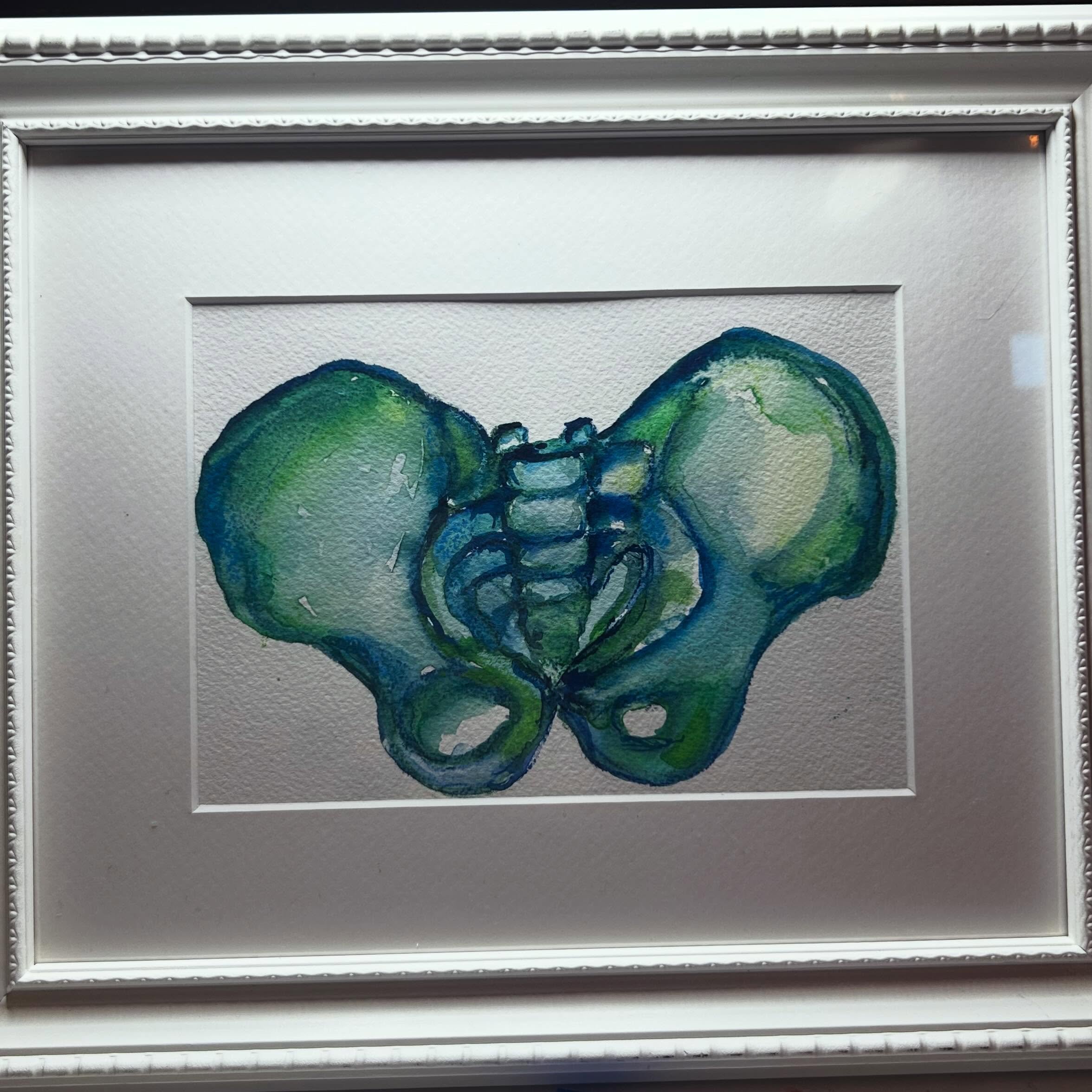 Why do pelvic bones resemble a butterfly? 🦋 #pelvicfloor #pelvicbones #medicalart #watercolor #pelvicfloorphysicaltherapy