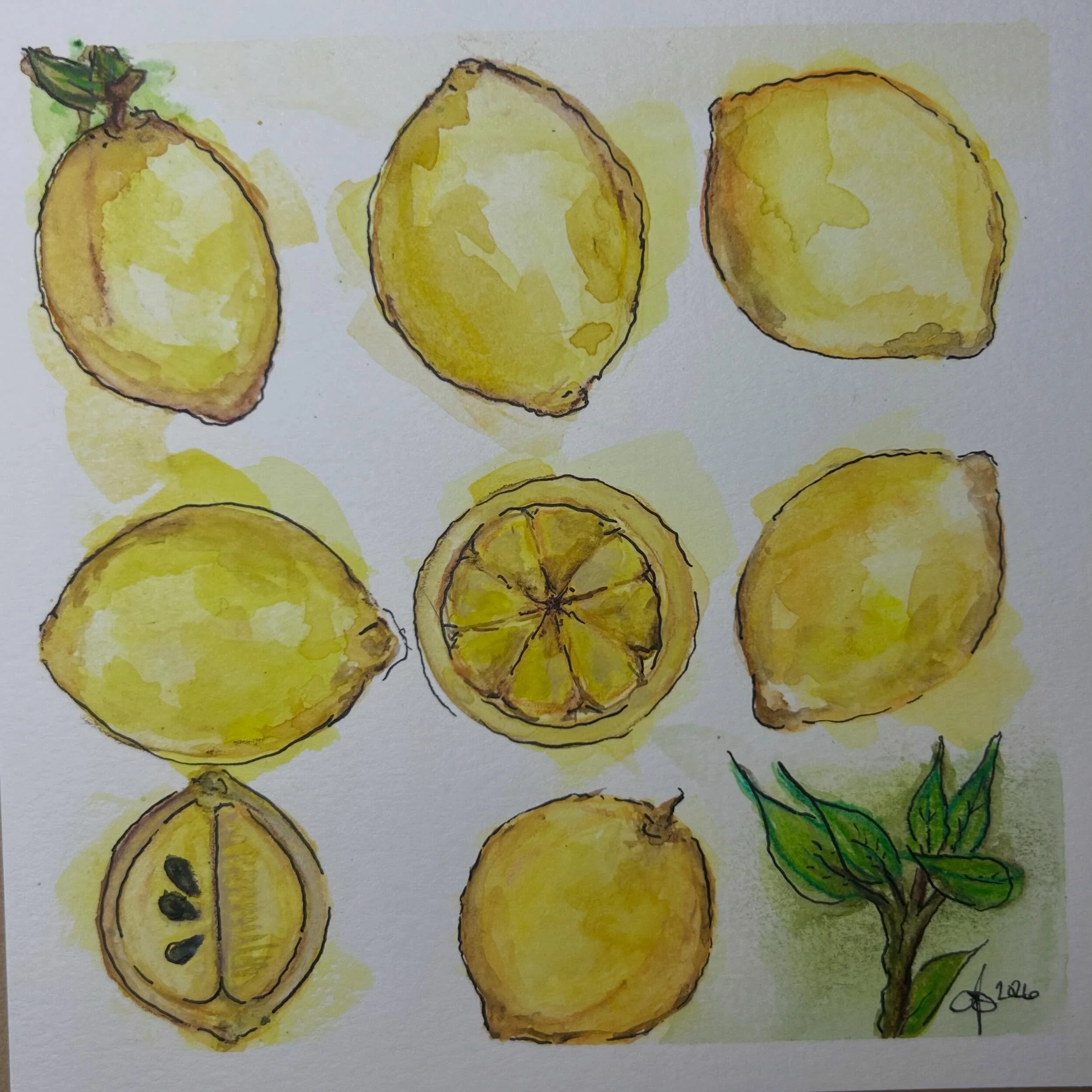 A study on lemons. #watercolorpractice #watercolorlemons #whenlifegivesyoulemons🍋