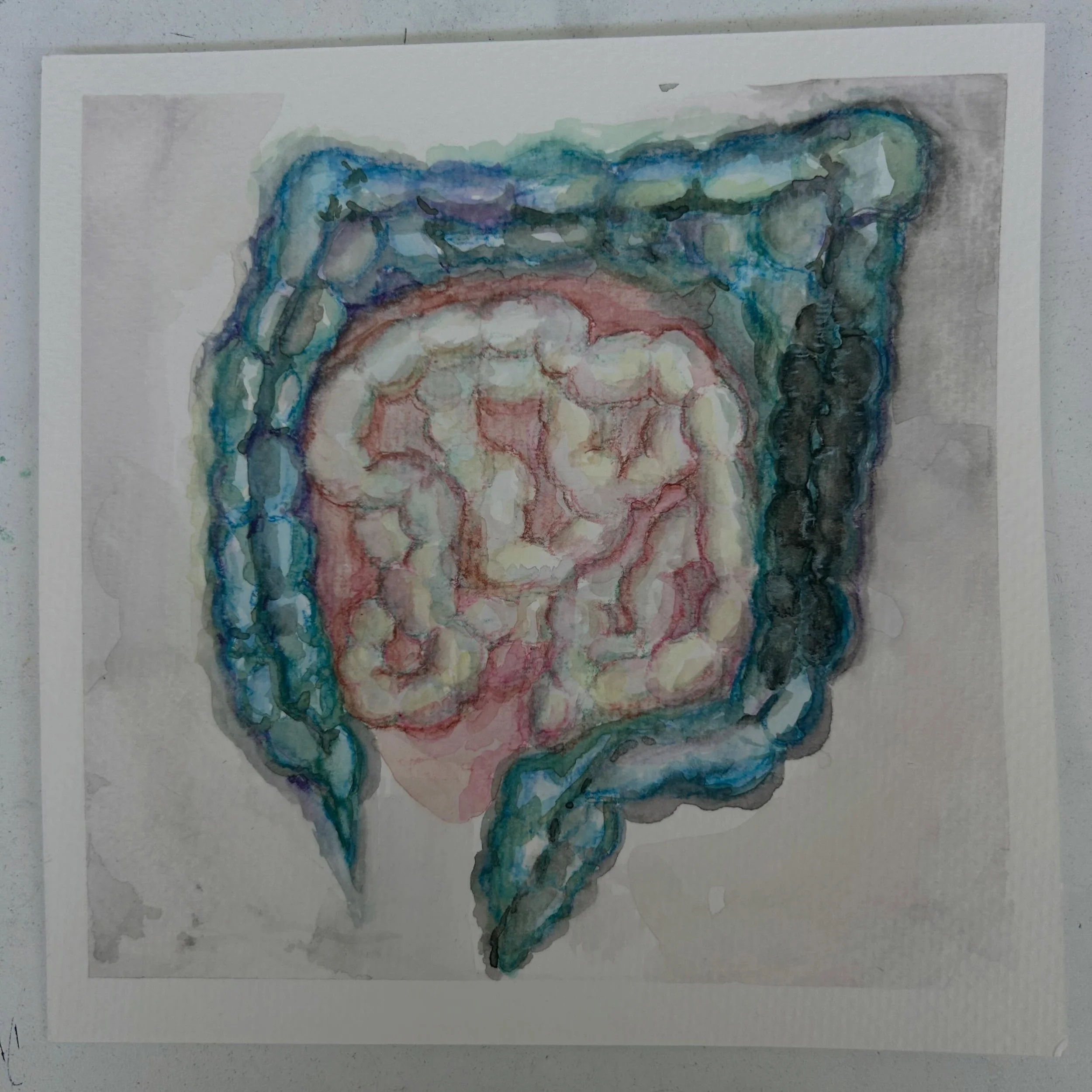 6&rdquo;x6&rdquo;, &ldquo;This too shall pass&rdquo;. Watercolor with watercolor pencil, cold press, 140 pound watercolor paper #irritablebowelsyndrome #diverticulitis #guthealth #constipation #medicalart