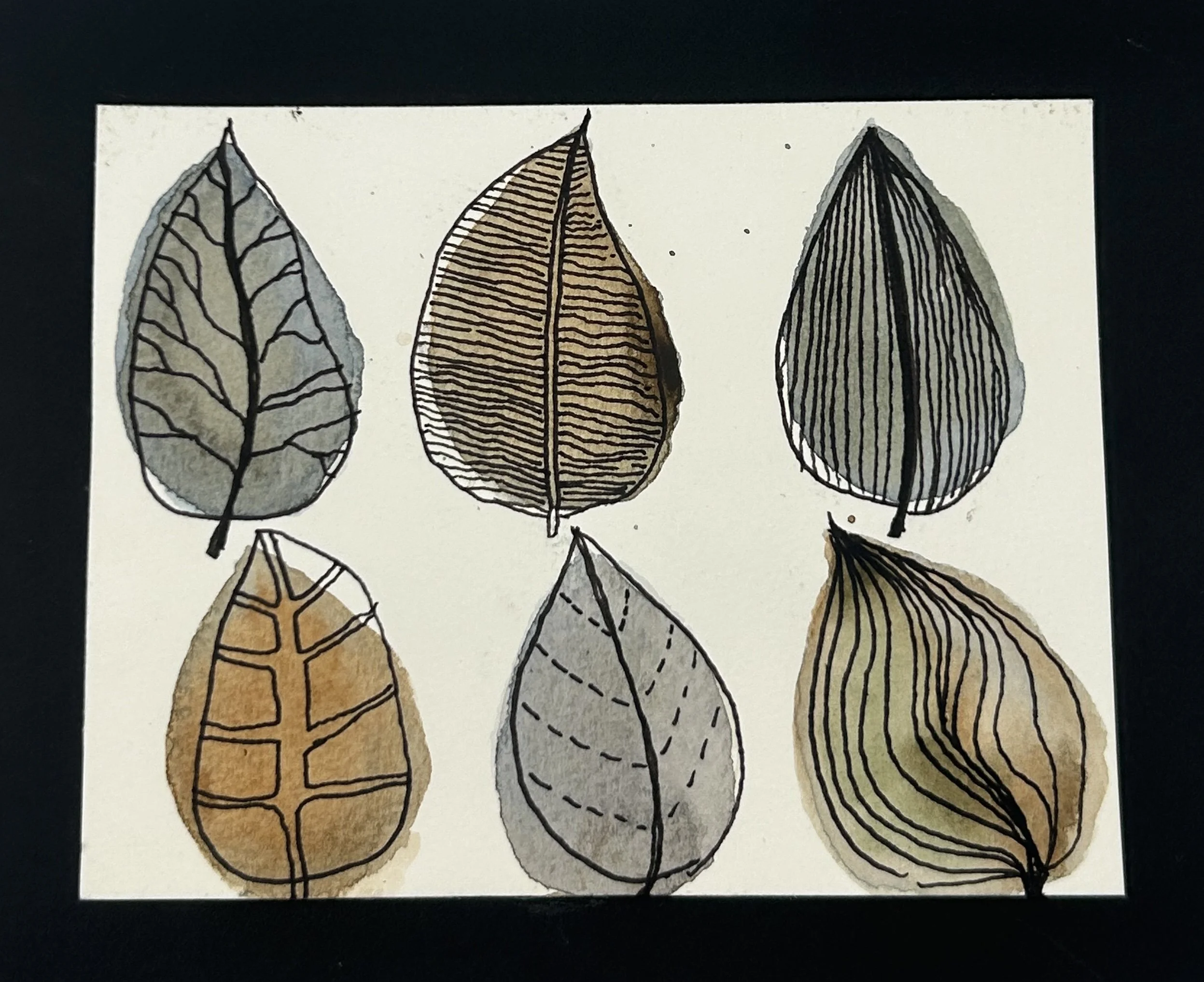 Six ink and watercolor leaves with detailed line patterns