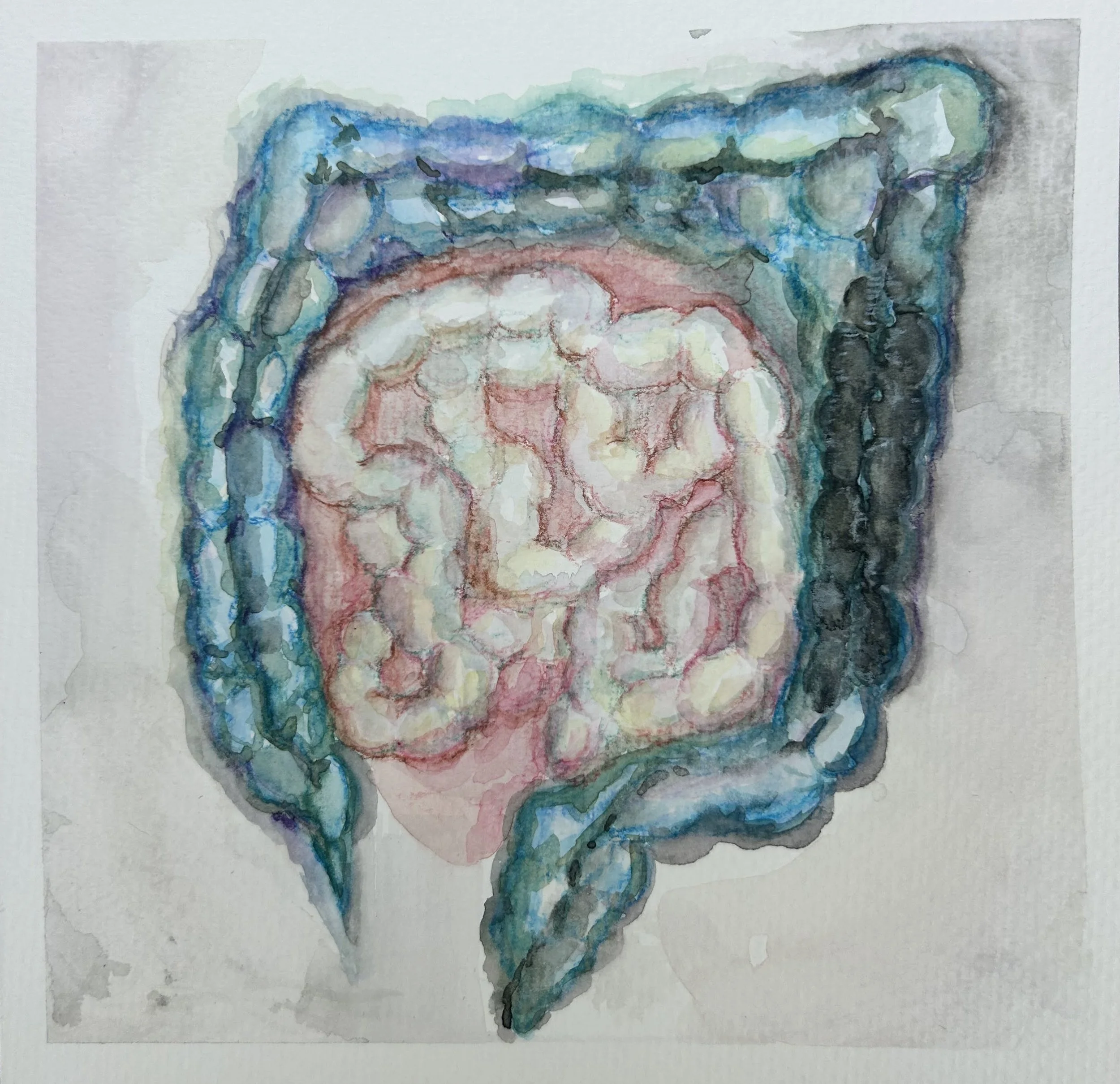 Watercolor painting of the large and small intestines in blue, pink, and white