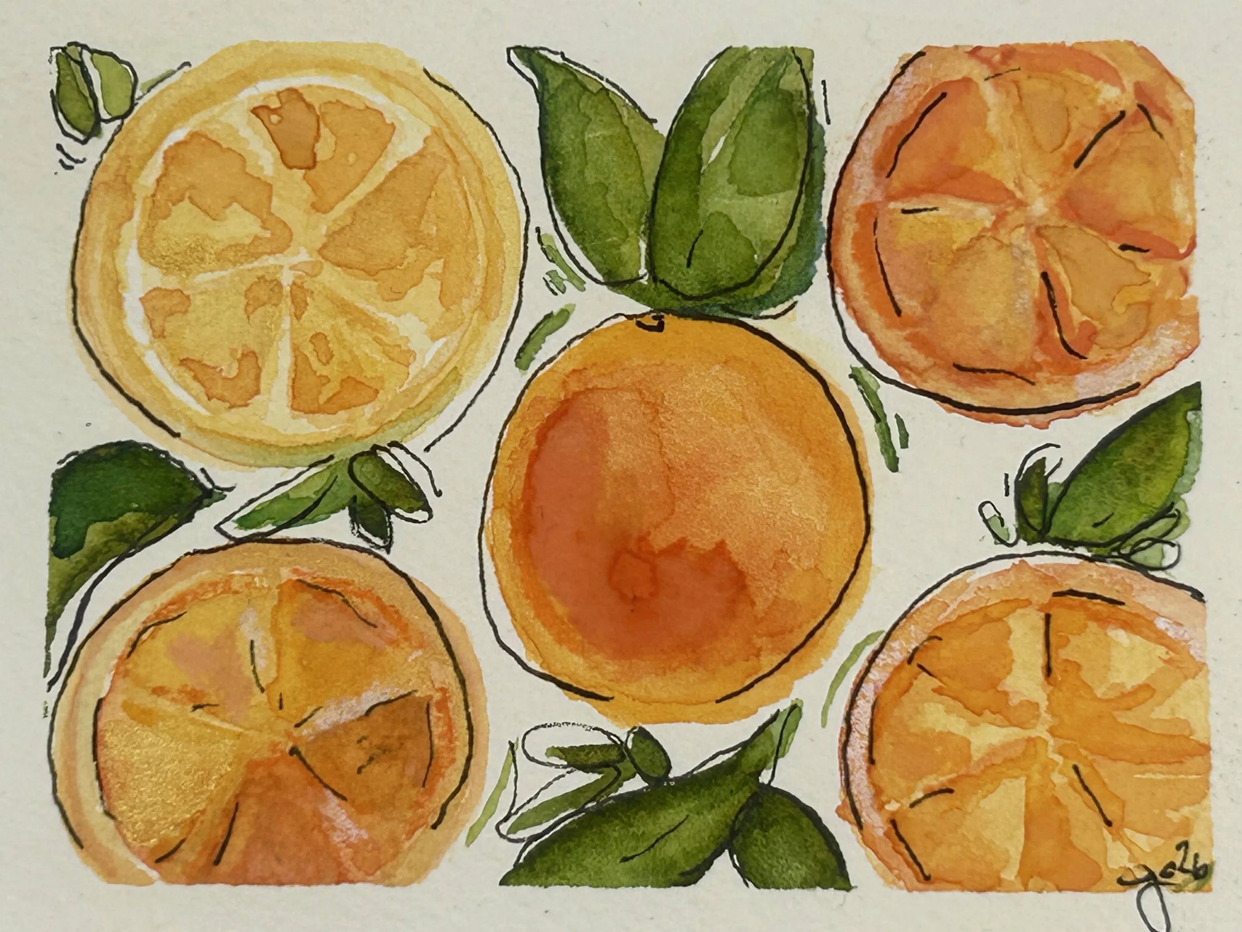 Watercolor and ink painting of whole and sliced oranges with green leaves