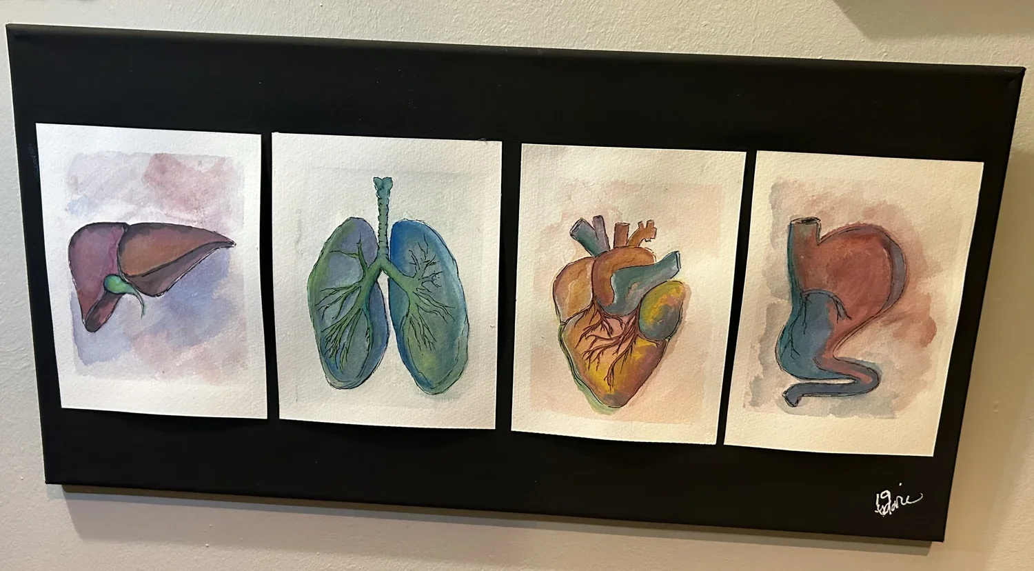 The Body Keeps the Score, watercolor and ink liver, lungs, heart, and stomach mounted on black canvas
