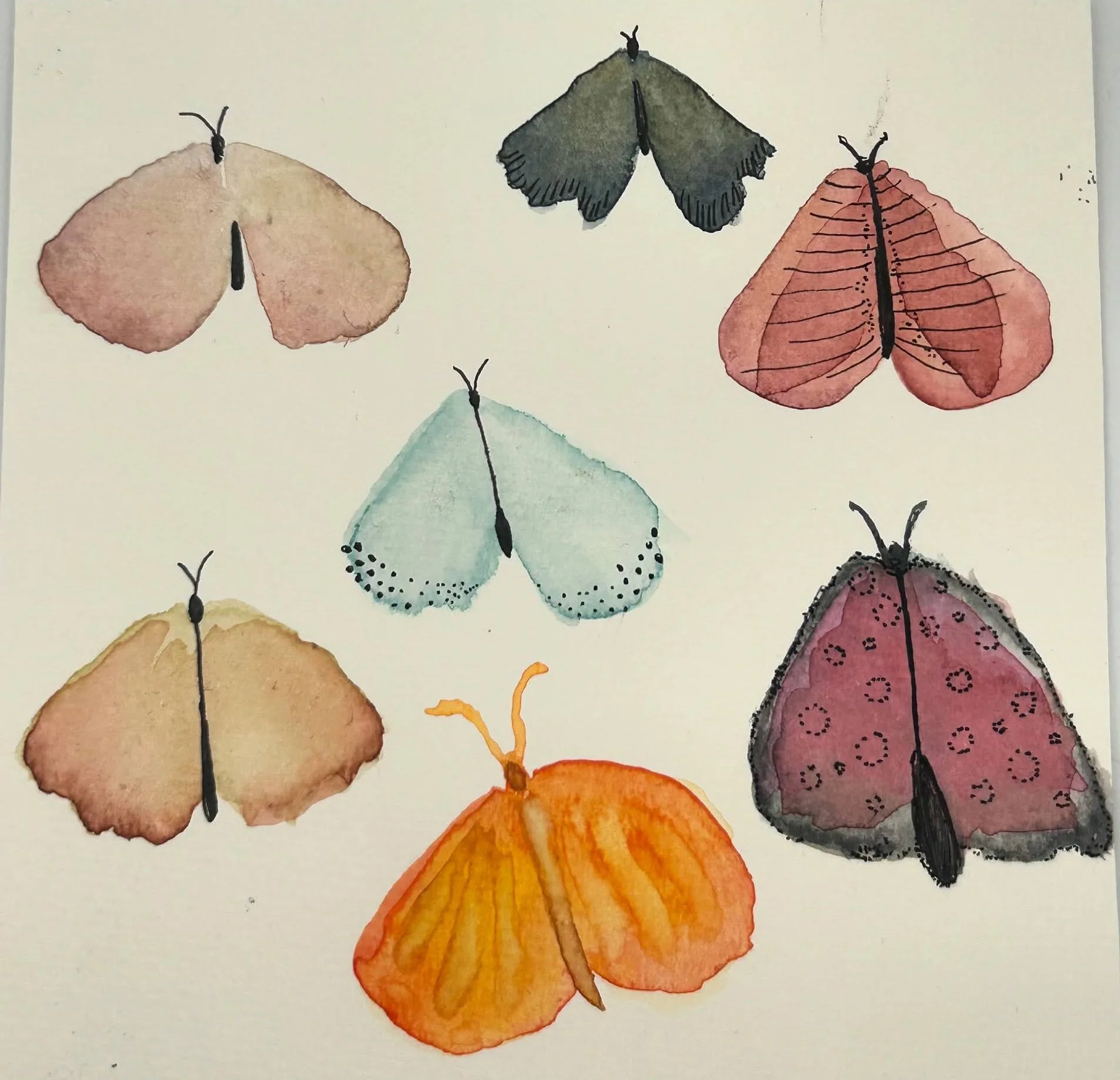 Watercolor painting of seven moths and butterflies in soft pink, gray, blue, orange, and burgundy