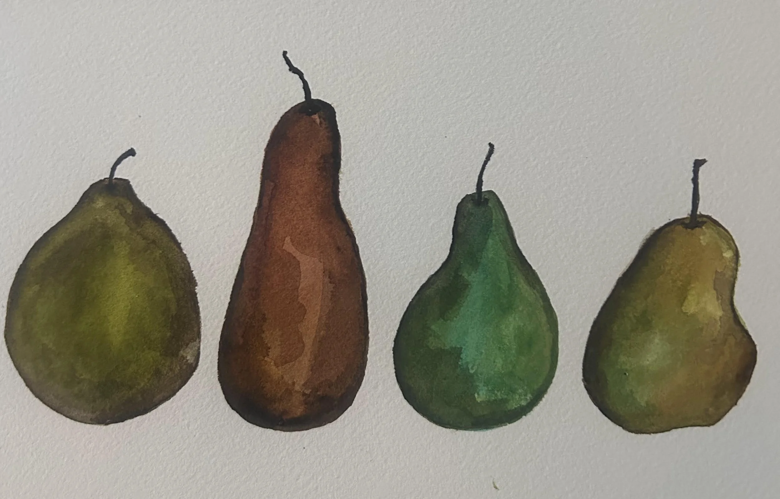 Watercolor painting of four pears in green and reddish brown in a row