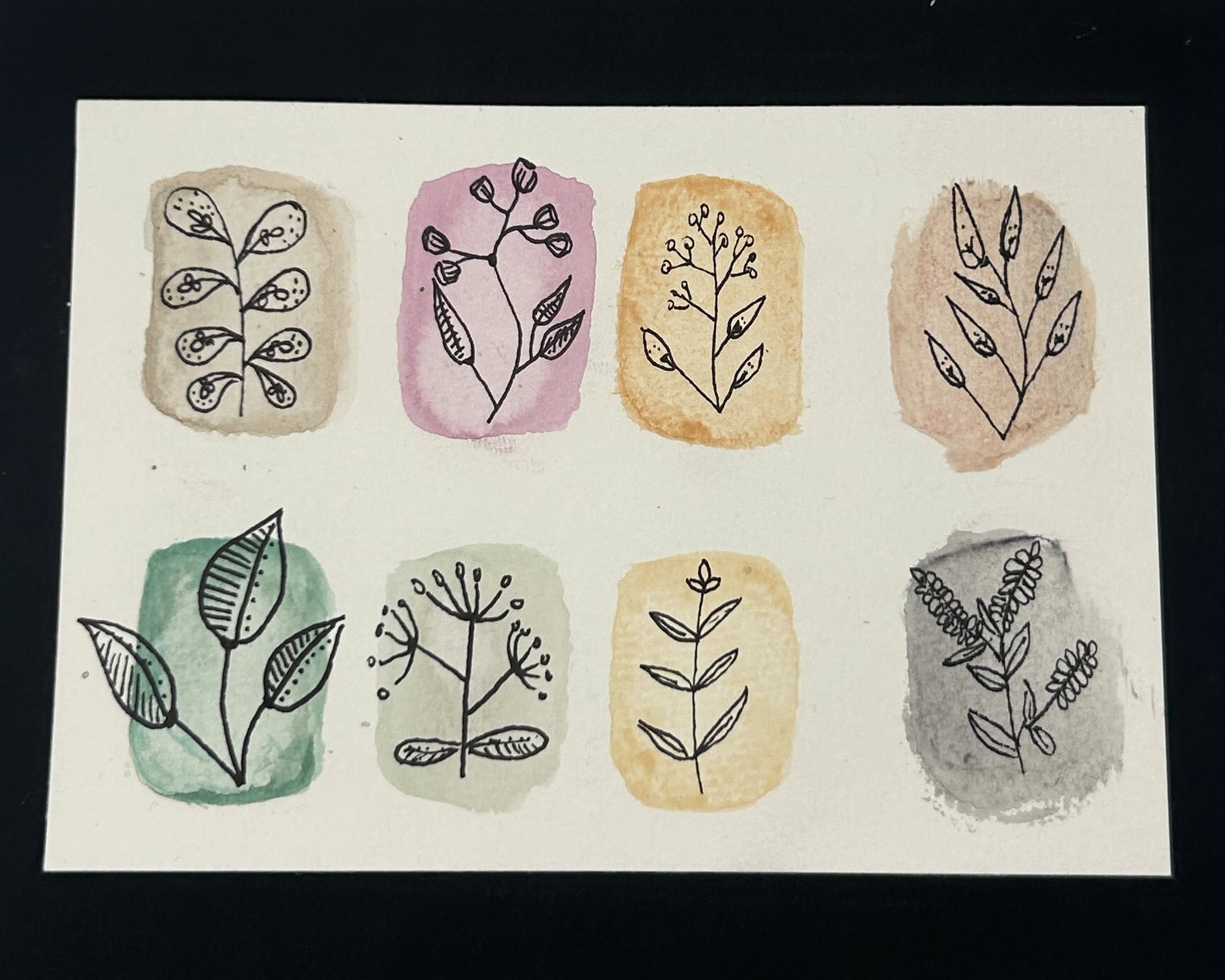 Ink botanical sketches on soft watercolor swatches in pink, yellow, green, and gray