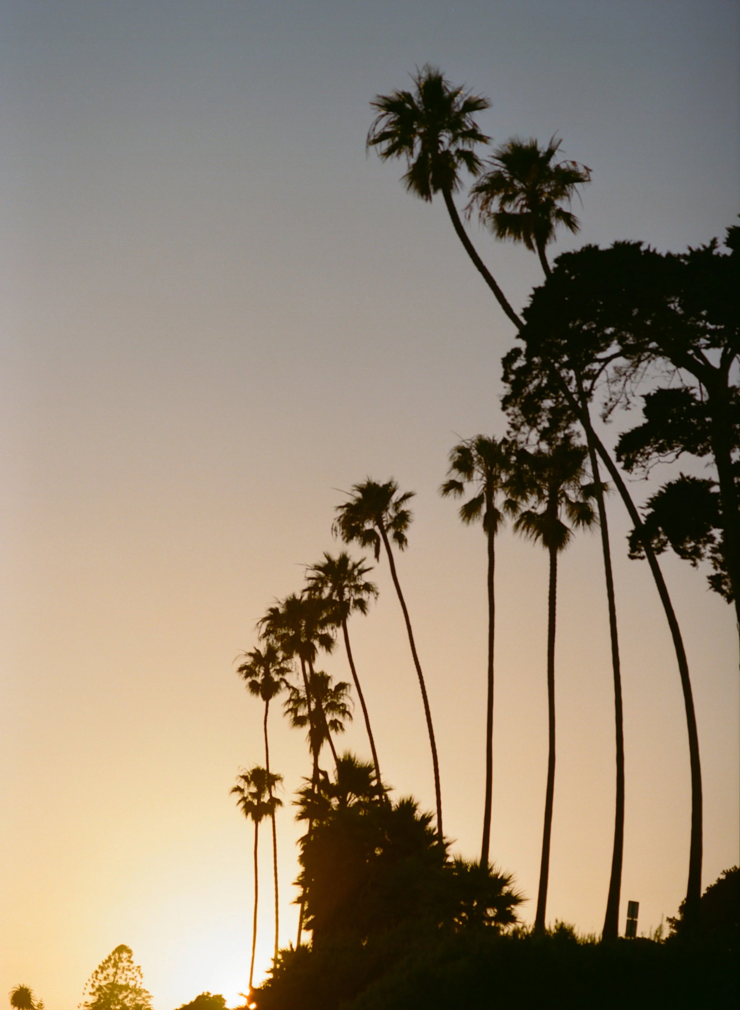 summerfridays_sweetsummerminis-39.jpg