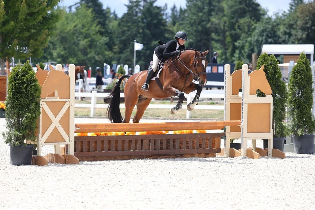 Adjusting to New Horses