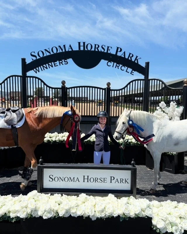 Transitioning From Ponies to Horses