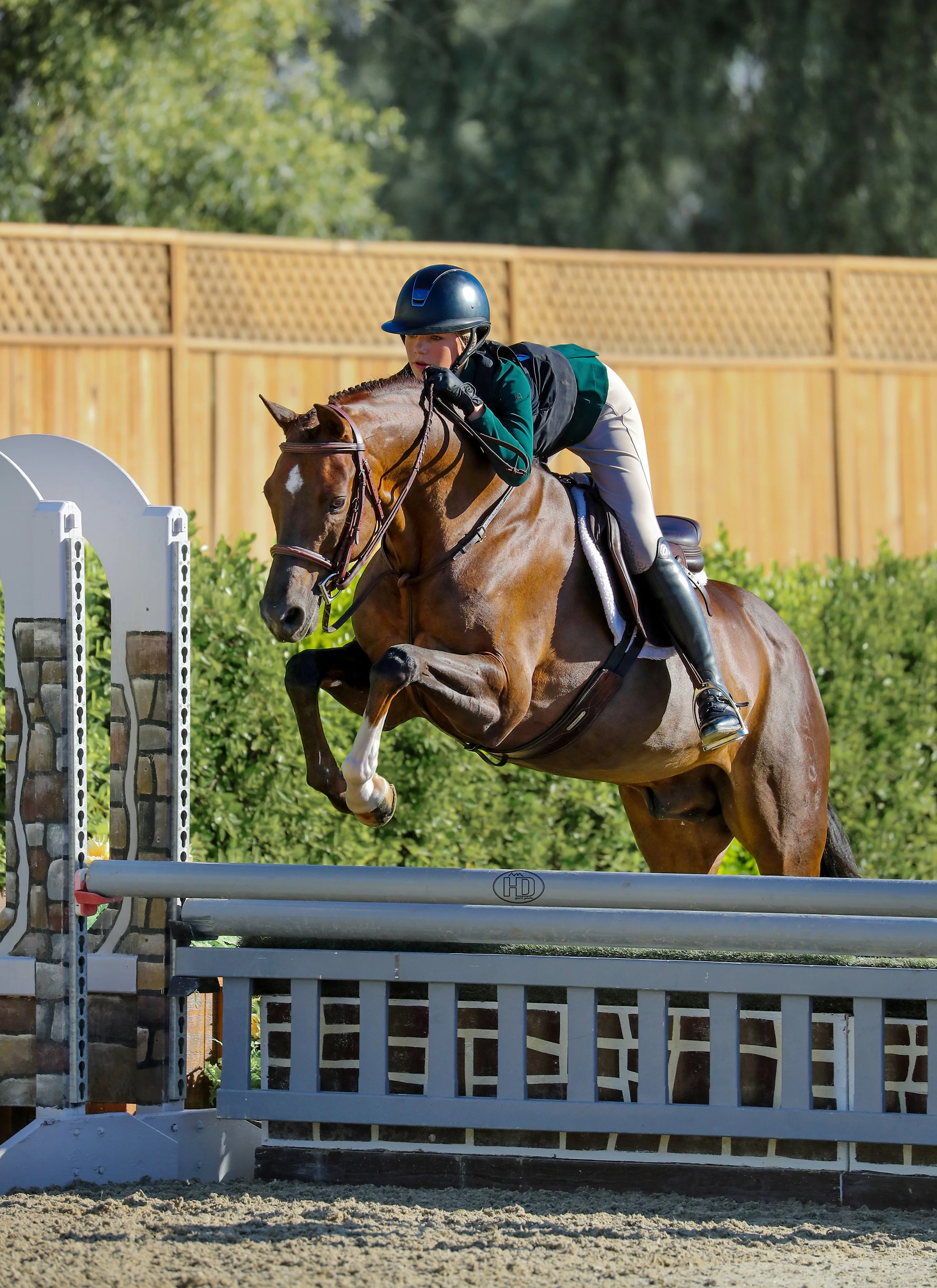 Gratitude in the Stirrups