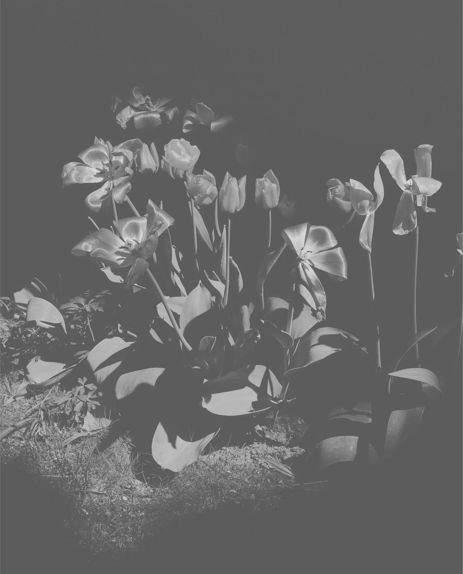 therapy with avery7.jpg