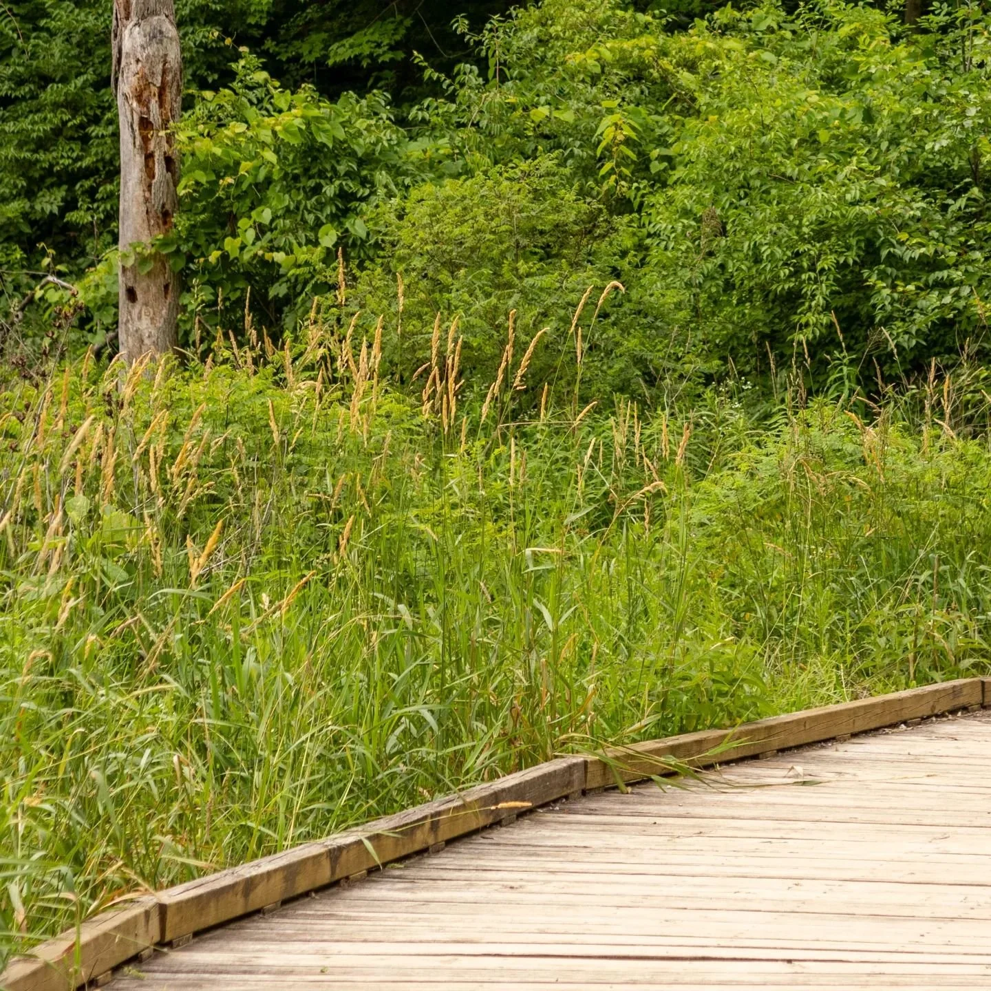 Pt. 1

Little Baby River is here! Ashlyn and Tyler, we can't wait to meet your little bundle of joy 👶🩷