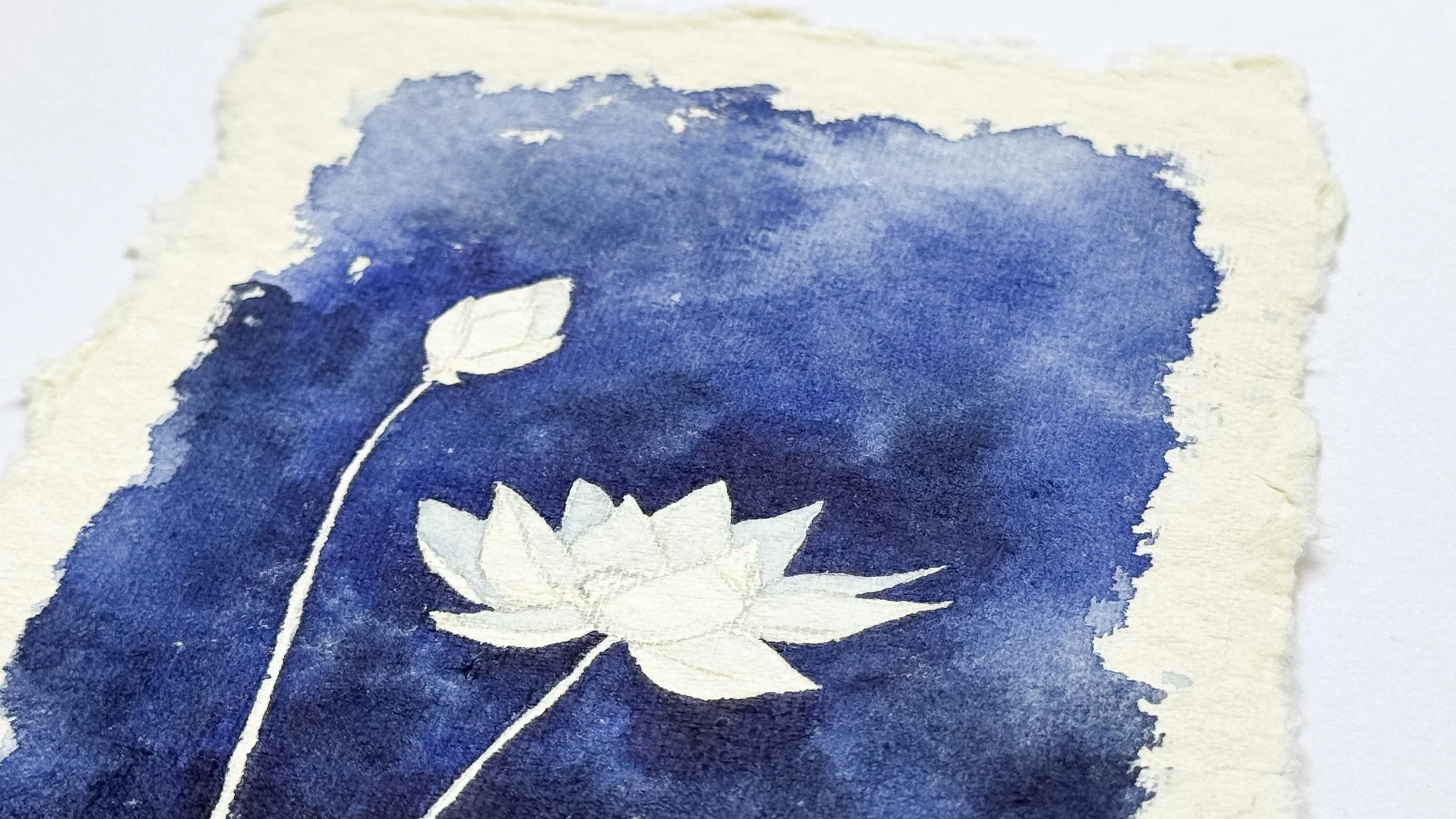 Close up of lotus flower watercolor painting