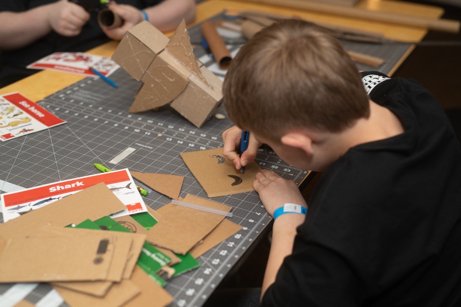 "Cardboard Club" 2025