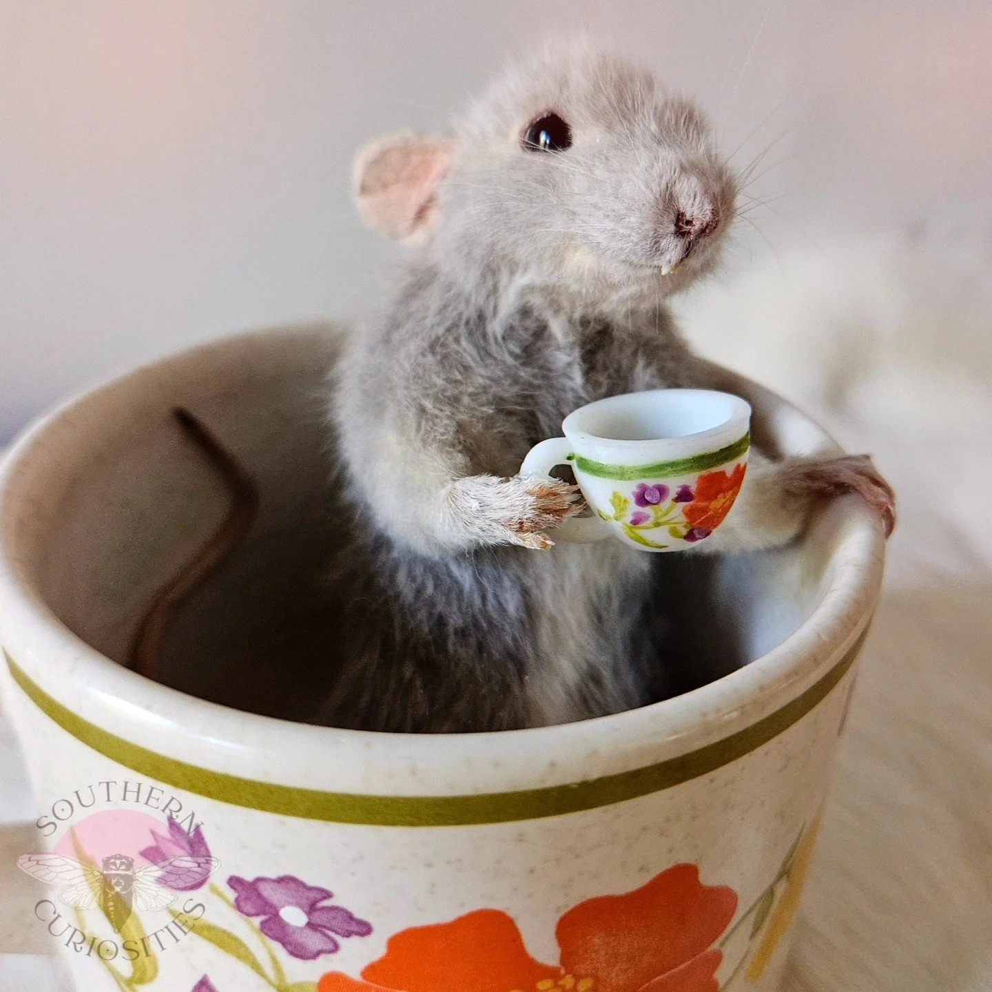 teacuprat3.jpg