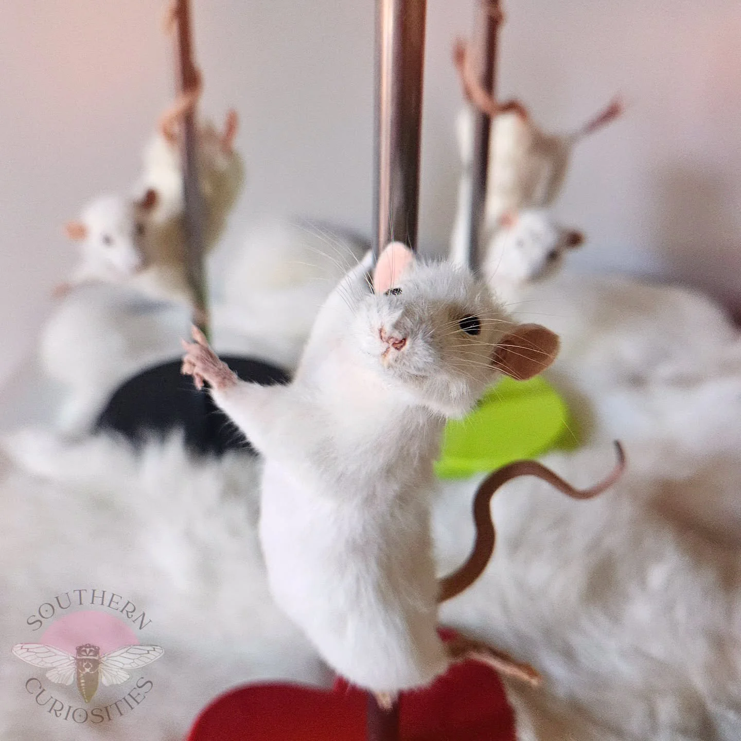 Have you checked out my shop update yet?! I've got a couple working girls looking for happy homes! Just imagine the glee when your favorite person opens their holiday gift and sees one of these girls grinning back at them. Now is the time to shop for