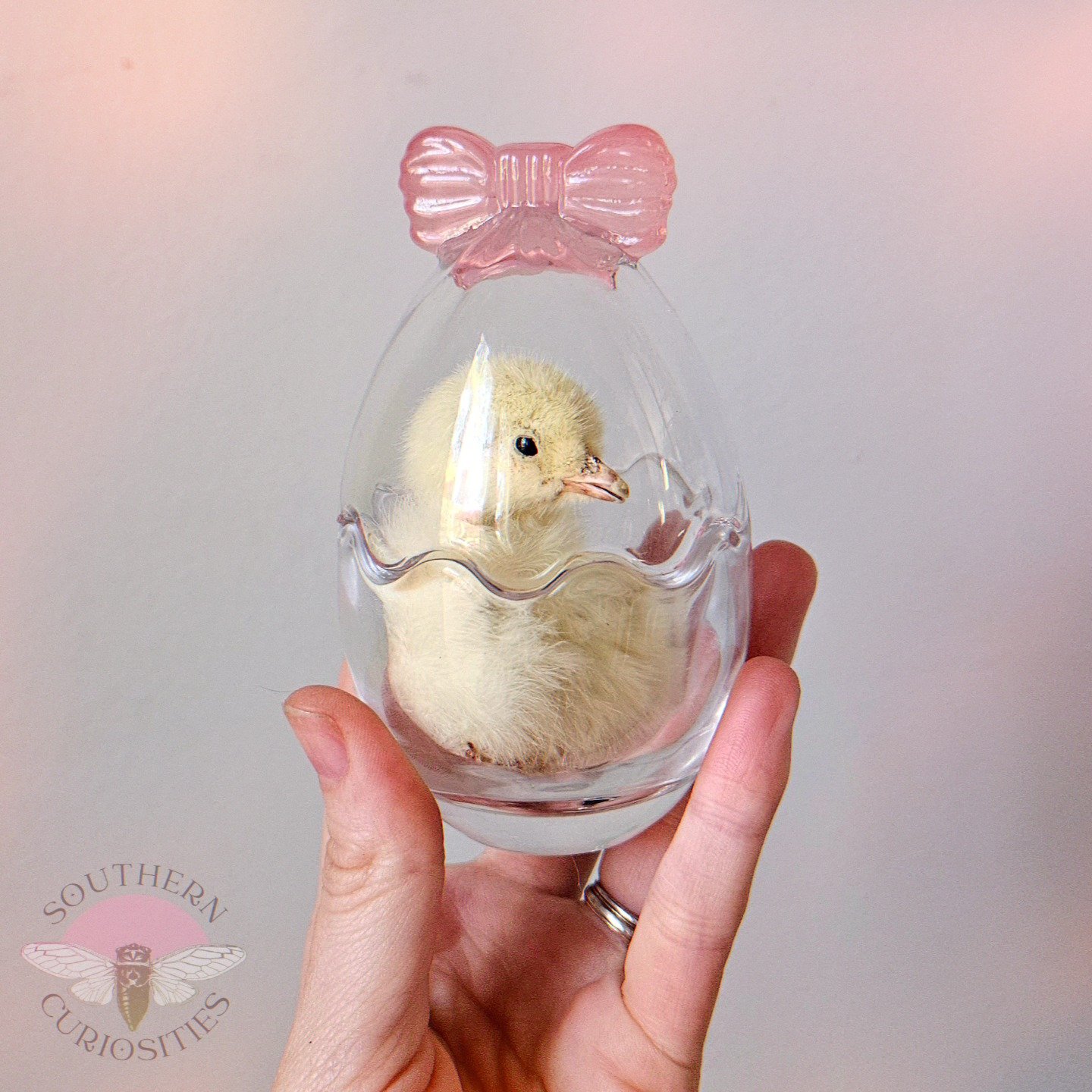 chick2.jpg