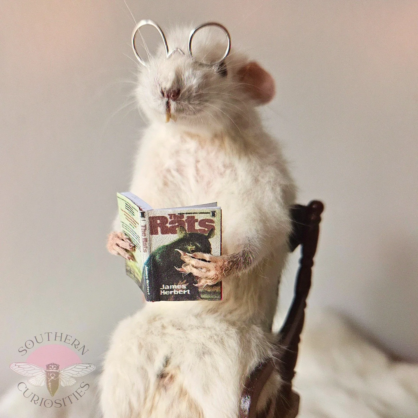 rat3.jpg