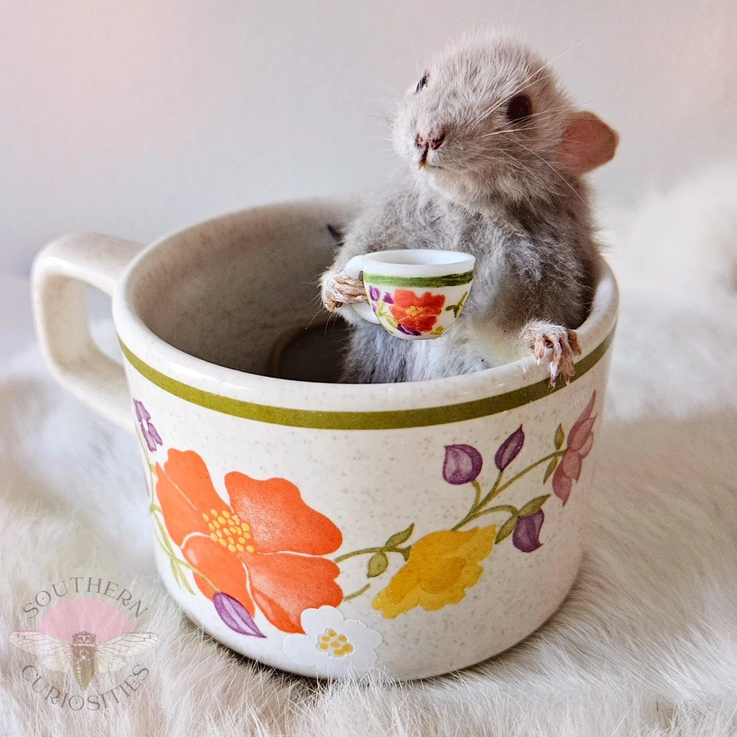 teacuprat4.jpg